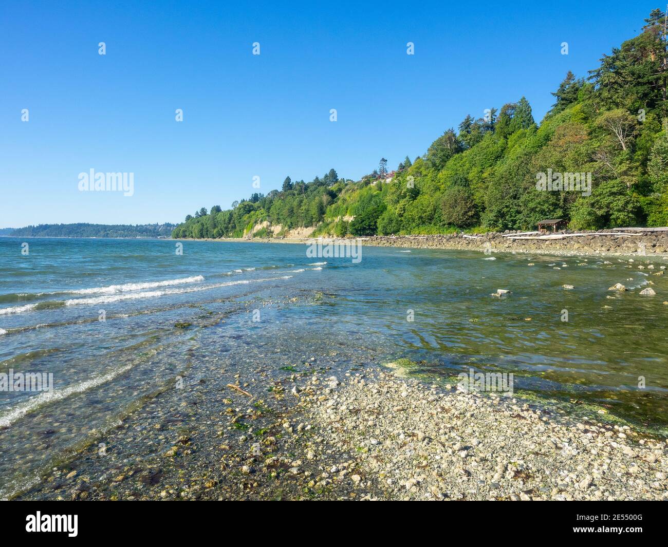 Saltwater State Park is a plot of second-growth timber on Puget Sound in the city of Des Moines, Washington, United States. The main attraction is sal Stock Photo