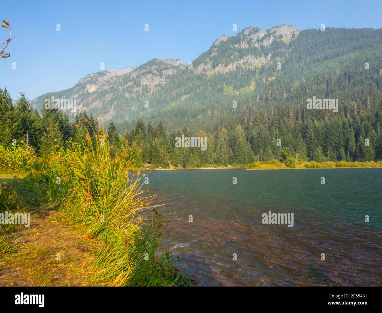 Gold Creek Pond Loop is a 1.2 mile heavily trafficked loop trail