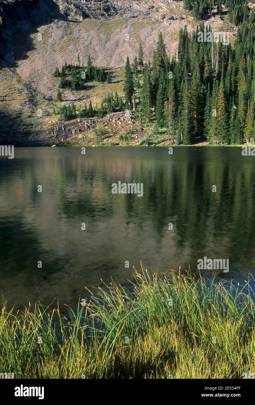 High Lake, Strawberry Mountain Wilderness, Malheur National Forest, Oregon Stock Photo