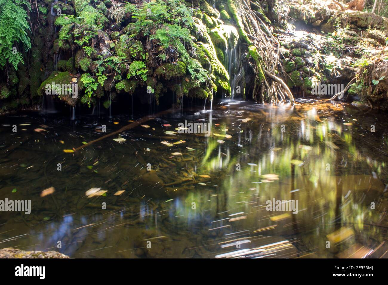 Flow in the Kadishi River (on the edge of the Blydepoort Canyon, South Africa) a rare tufa river which precipitates calcium carbonates were the water Stock Photo