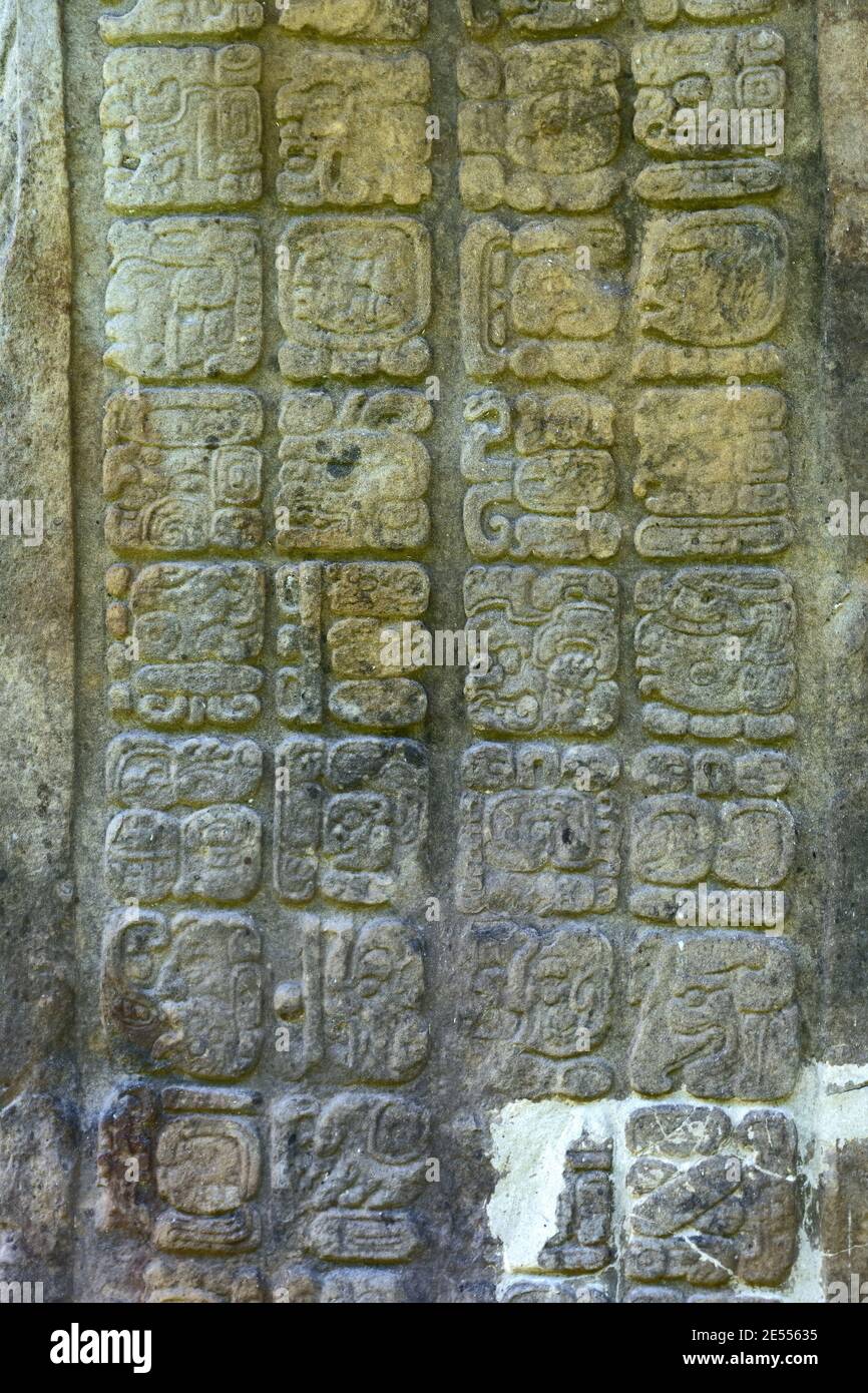 Quirigua, Guatemala, Central America: mayan hieroglyphs in Quirigua. Quirigua is an ancient Maya archaeological site in the department of Izabal. Stock Photo