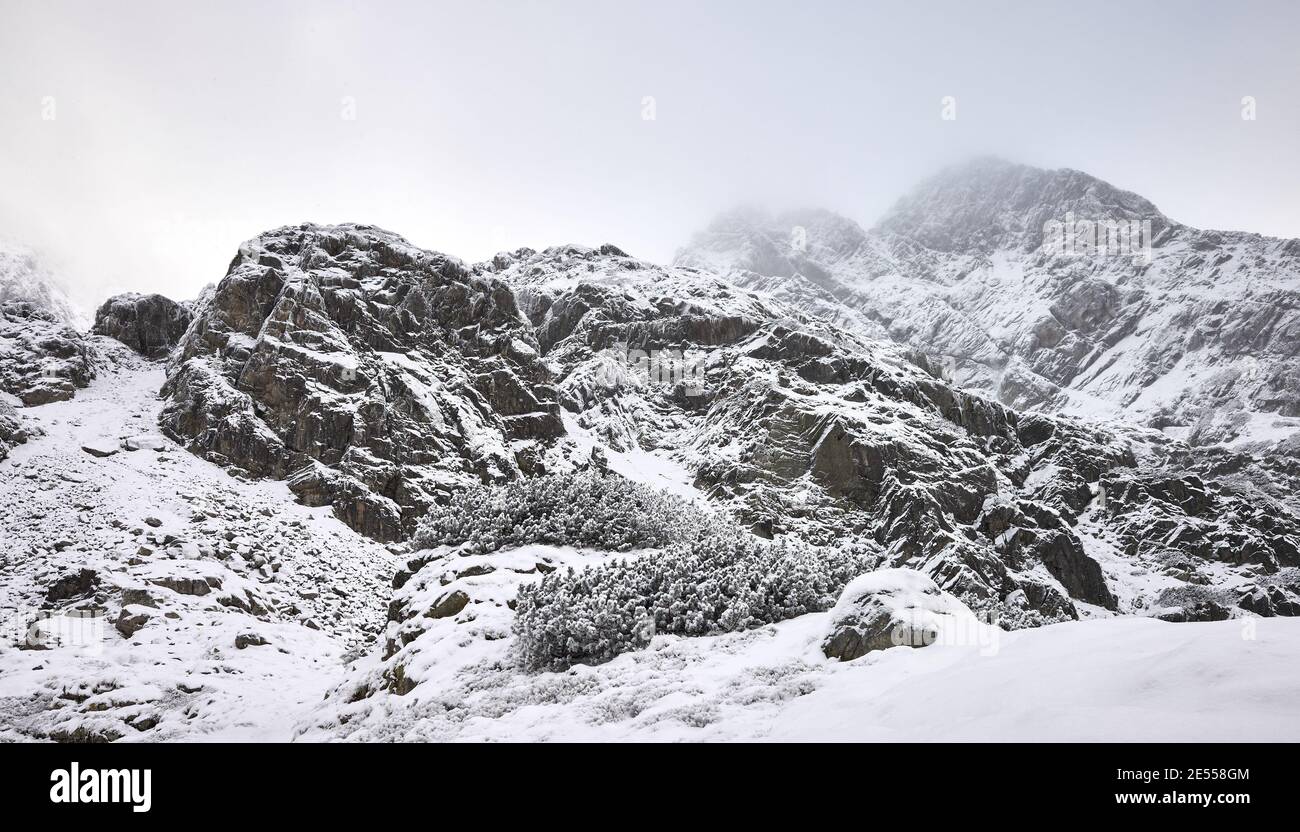 Tatra mountains on a snowy day, Tatra National Park, Poland. Stock Photo