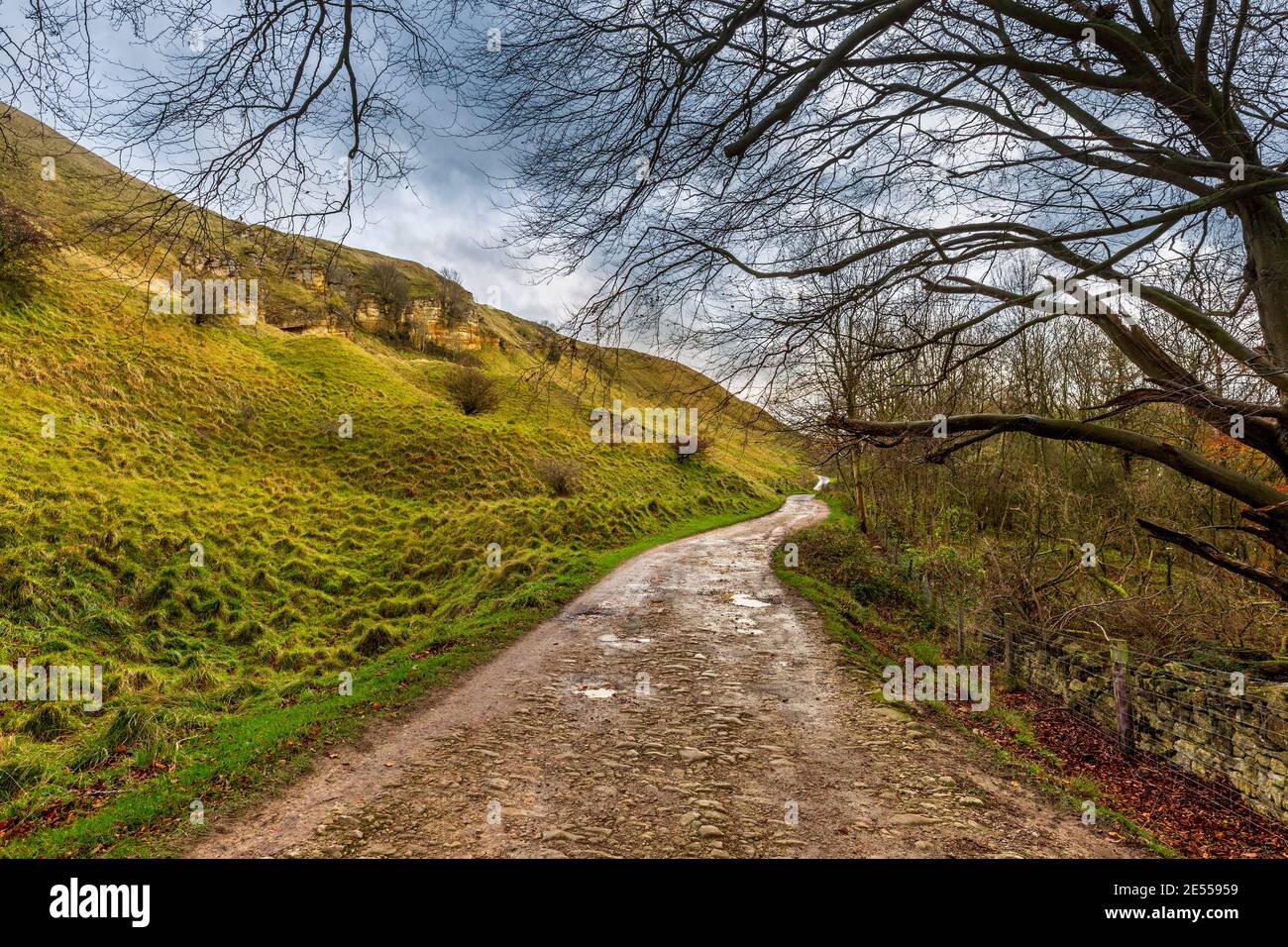 The old quarry road below the Cotswold Escarpment at Cleeve Hill near Cheltenham in winter, Gloucestershire, England Stock Photo
