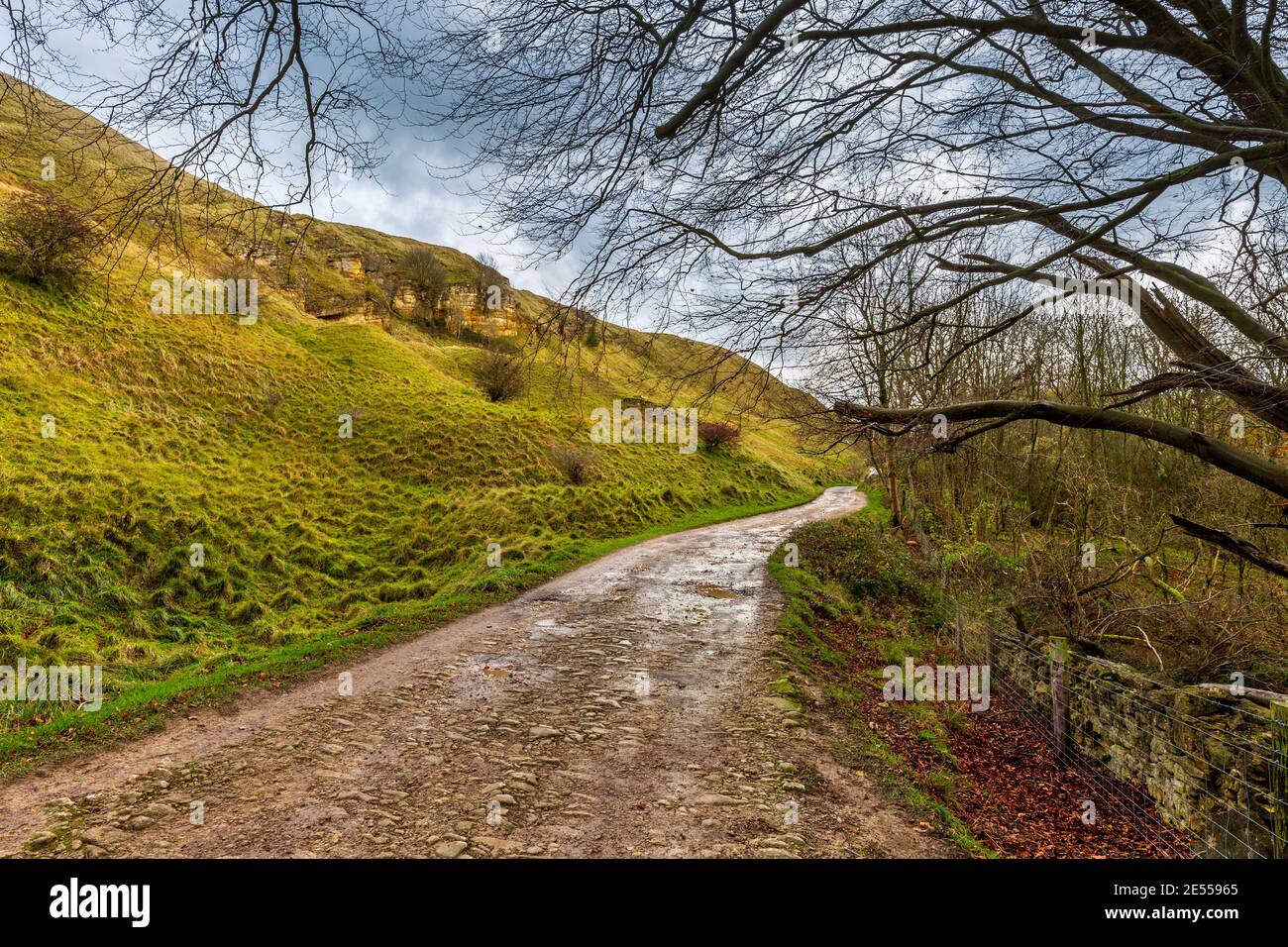 The old quarry road below the Cotswold Escarpment at Cleeve Hill near Cheltenham in winter, Gloucestershire, England Stock Photo