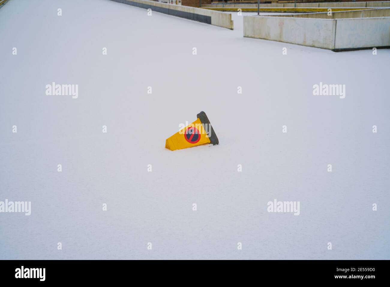 Cone in snow hi-res stock photography and images - Alamy