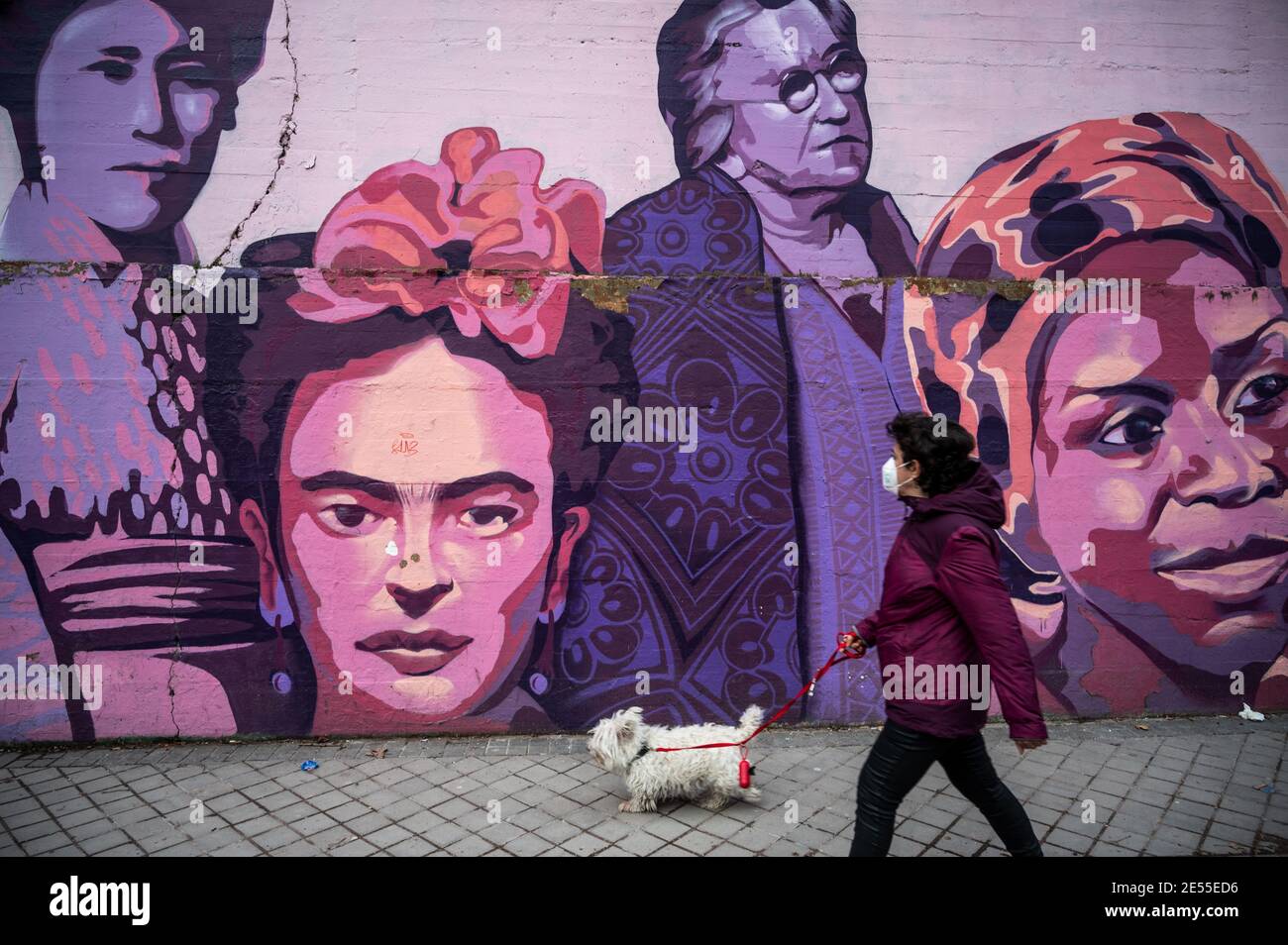 Madrid, Spain. 26th Jan, 2021. A woman wearing a face mask to protect against the spread of coronavirus (COVID-19) walks with her dog by a feminist mural named 'Union makes force' with the painted faces of Mexican painter Frida Kahlo and American musician Nina Simone among others. Far-right party VOX proposed the removal of the mural which finally will not be removed as Ciudadanos Party has changed his vote. In the mural appear the faces of 15 women who are part of history for their fight in favor of equality. Credit: Marcos del Mazo/Alamy Live News Stock Photo