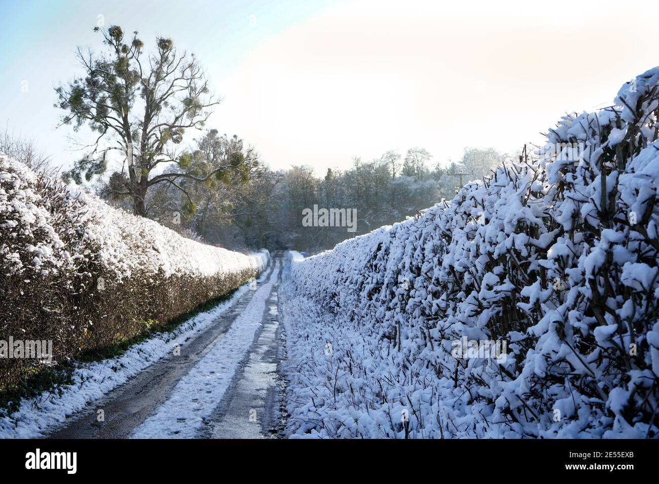A frozen lane, covered in snow with hedges either side descending down a hill Stock Photo
