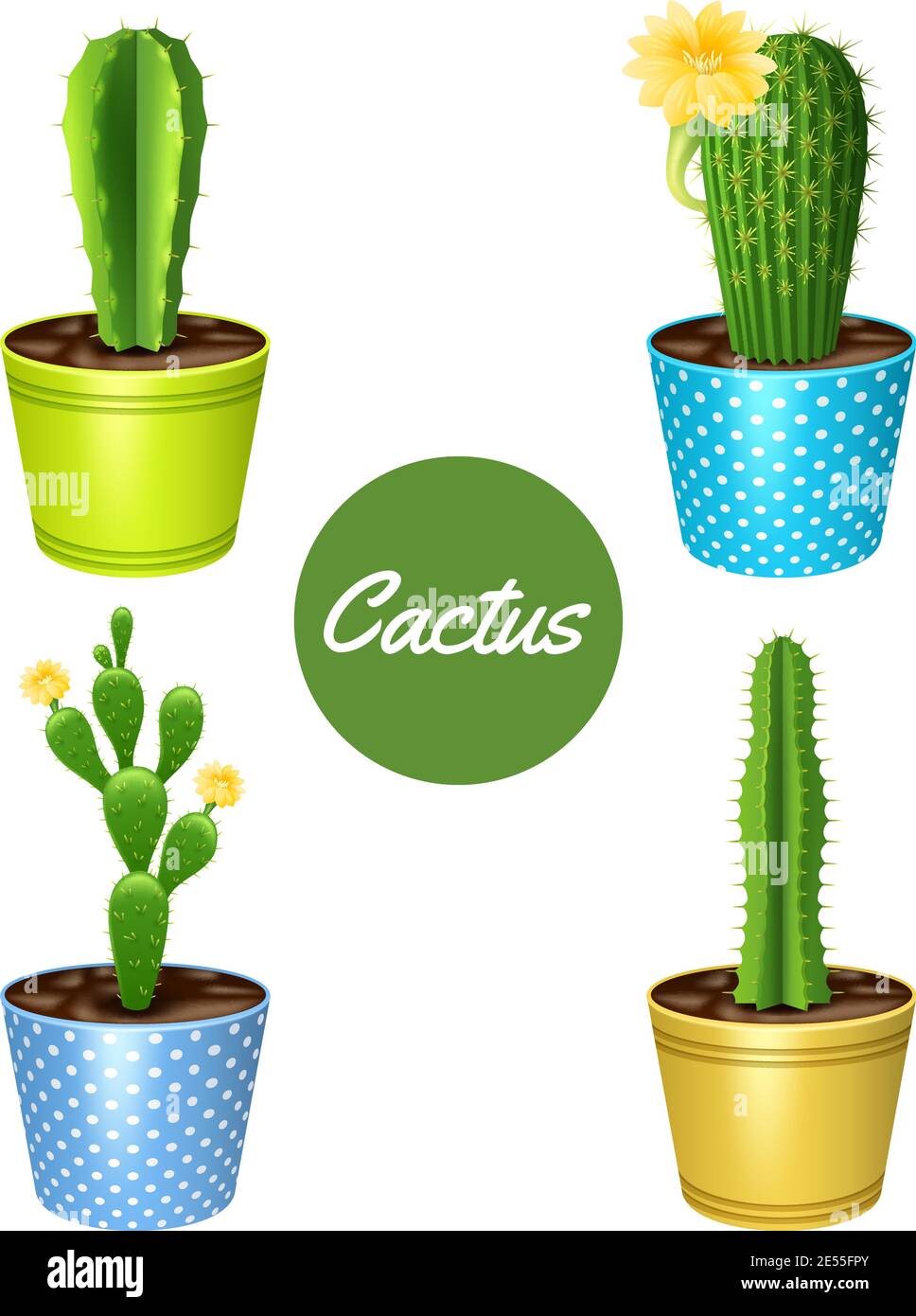 Cactus plants in flower pots decorative icons set isolated vector ...