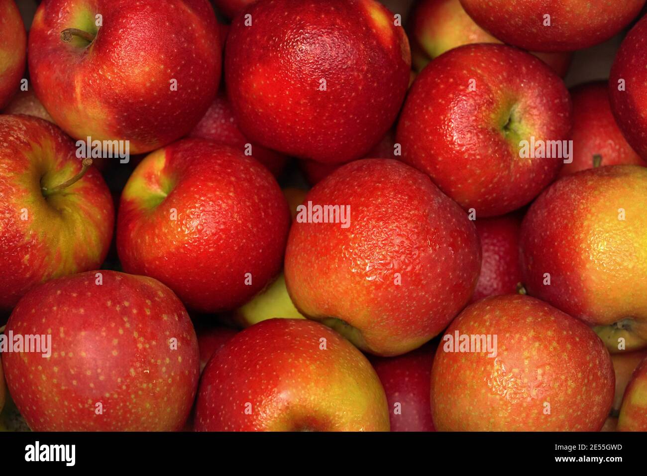 Free picture: apples, greenish yellow, apple, fresh, organic, close-up,  food, produce, health, vitamin