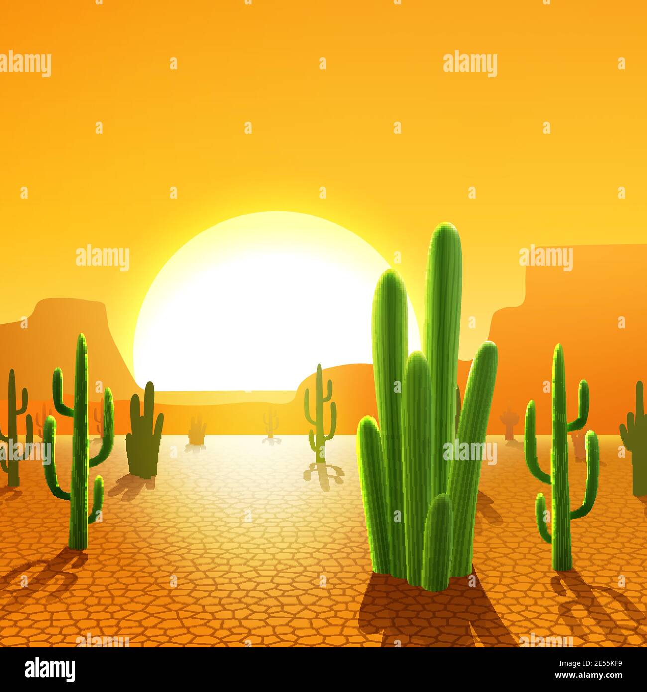 Cactus plants in mexican desert with rising sun on background vector