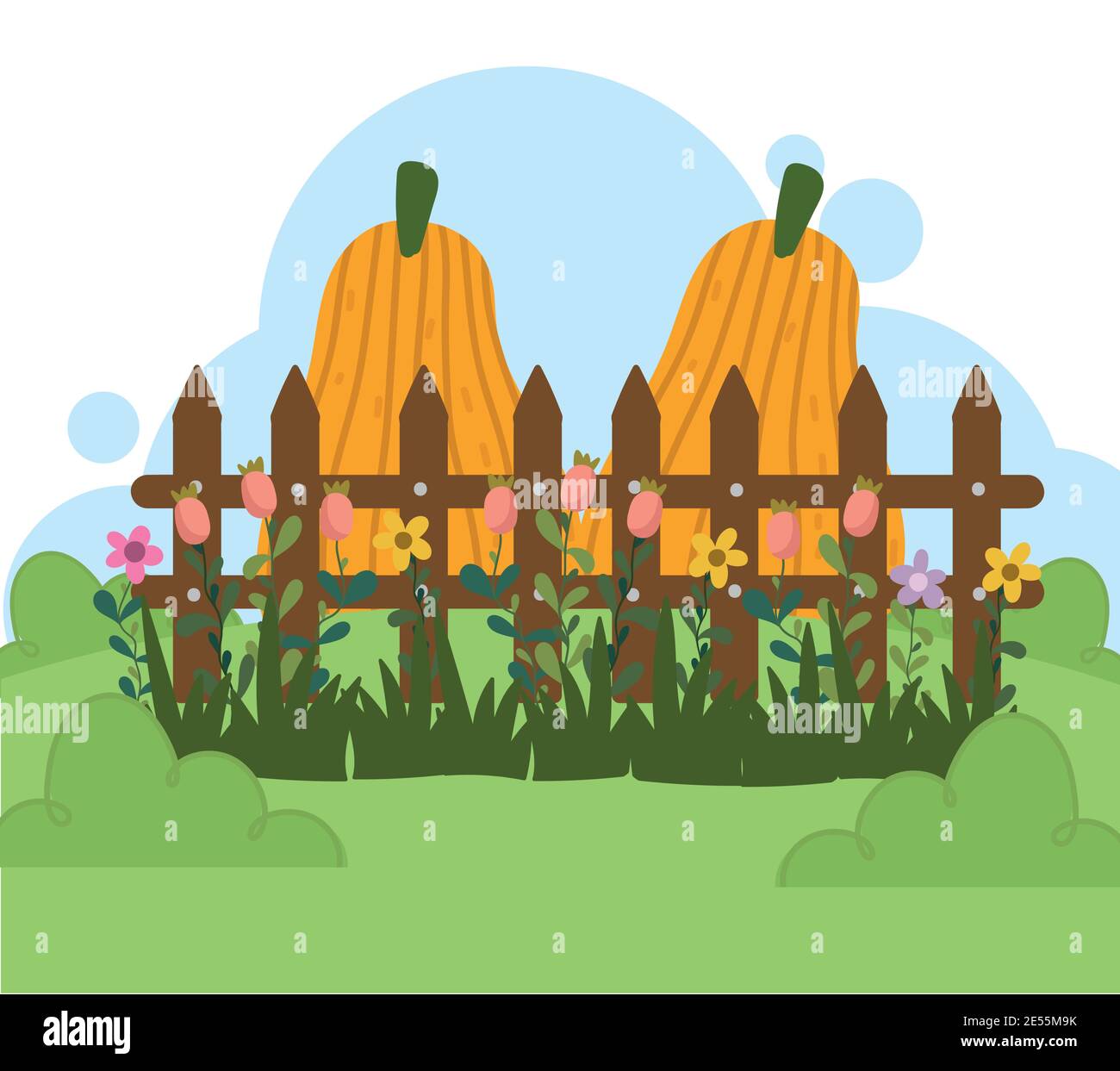 Gardening, pumpkins flowers grass and fence vector illustration Stock ...
