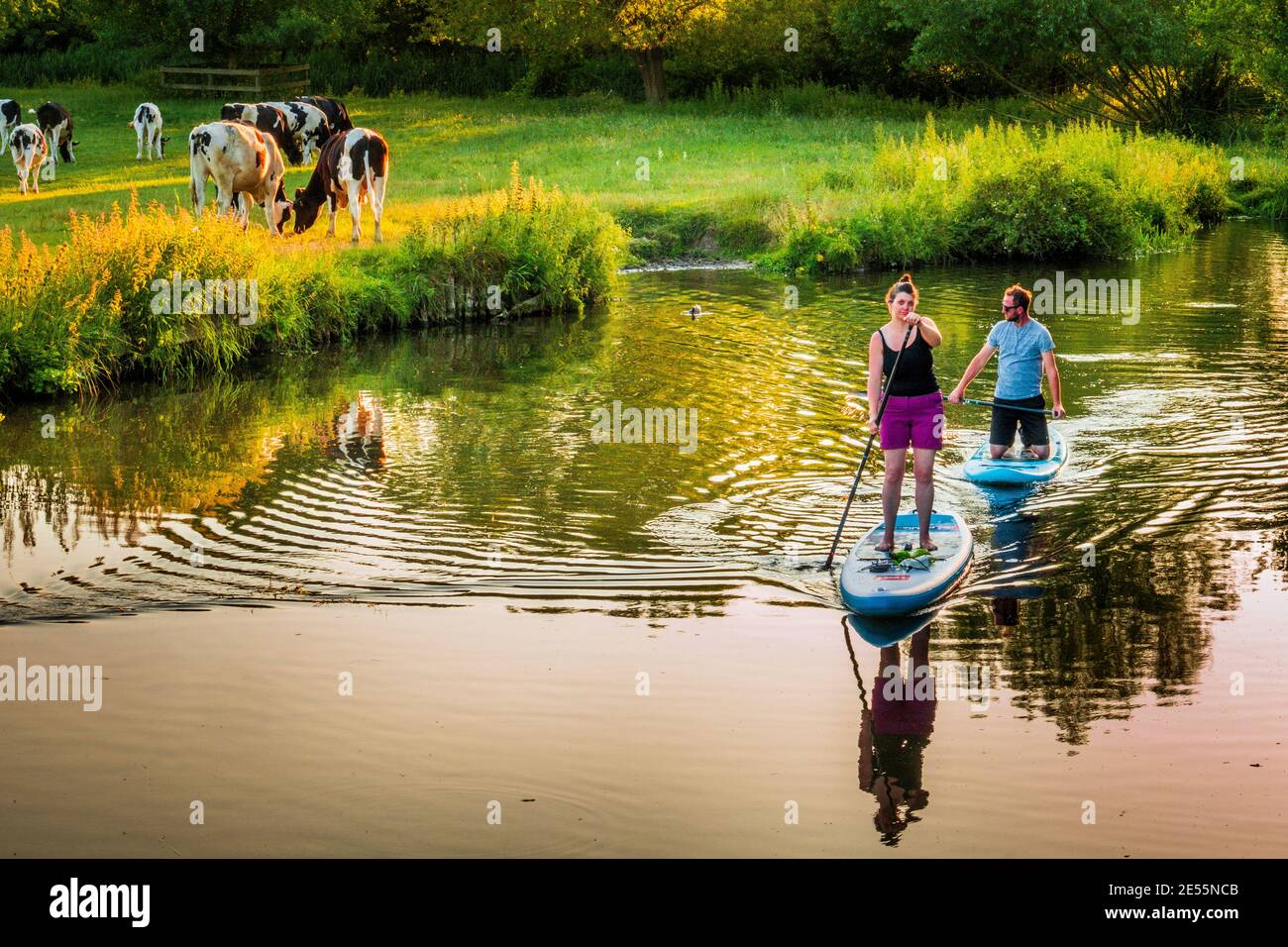Paddle boarders on the river Stour at Flatford in Suffolk. Stock Photo
