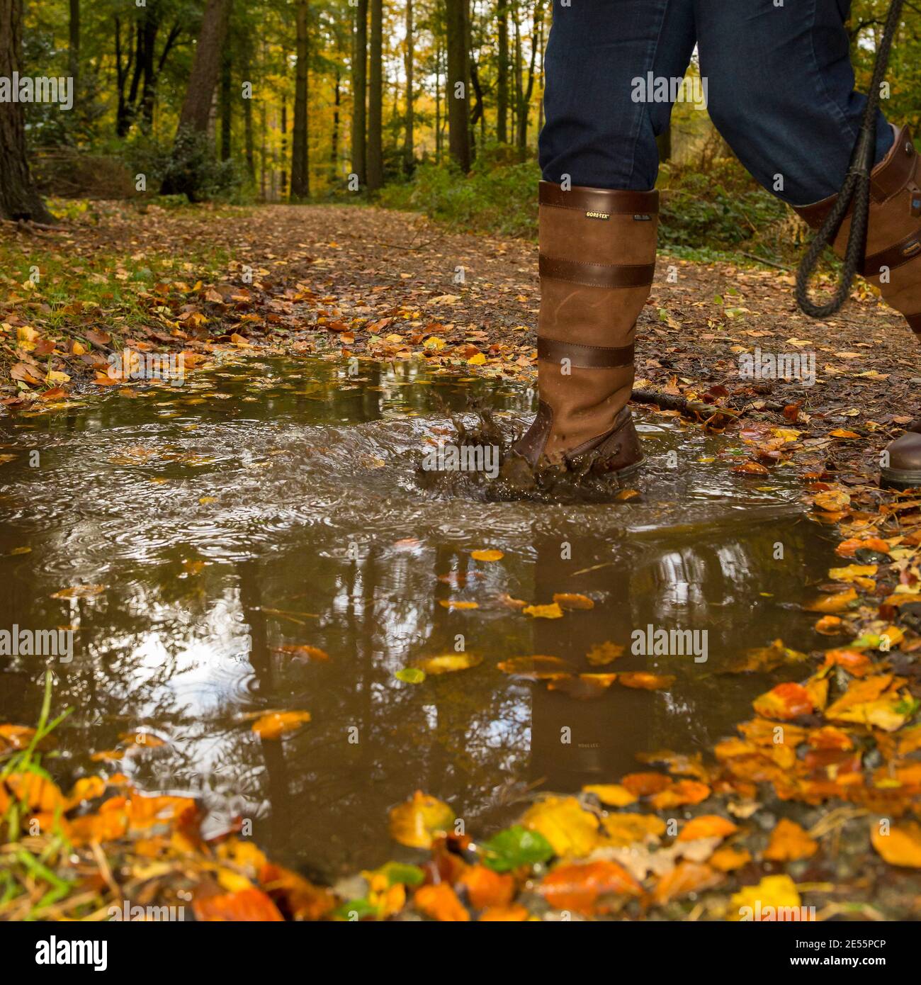 labels on Hotter Gore-tex boots guaranteed to keep you dry Goretex