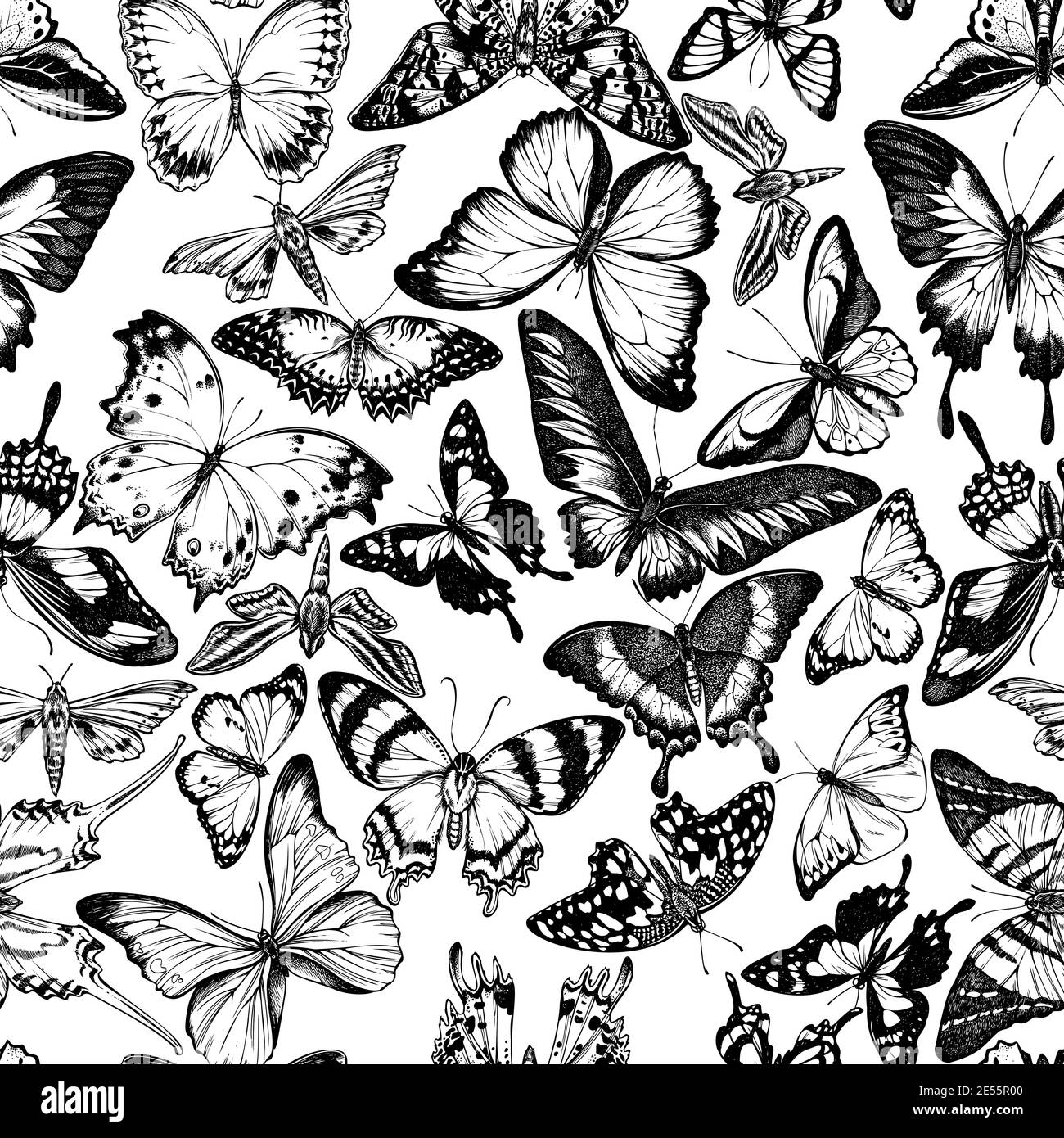Seamless pattern with black and white jungle queens, plain tiger, rajah brooke's birdwing, papilio torquatus Stock Vector