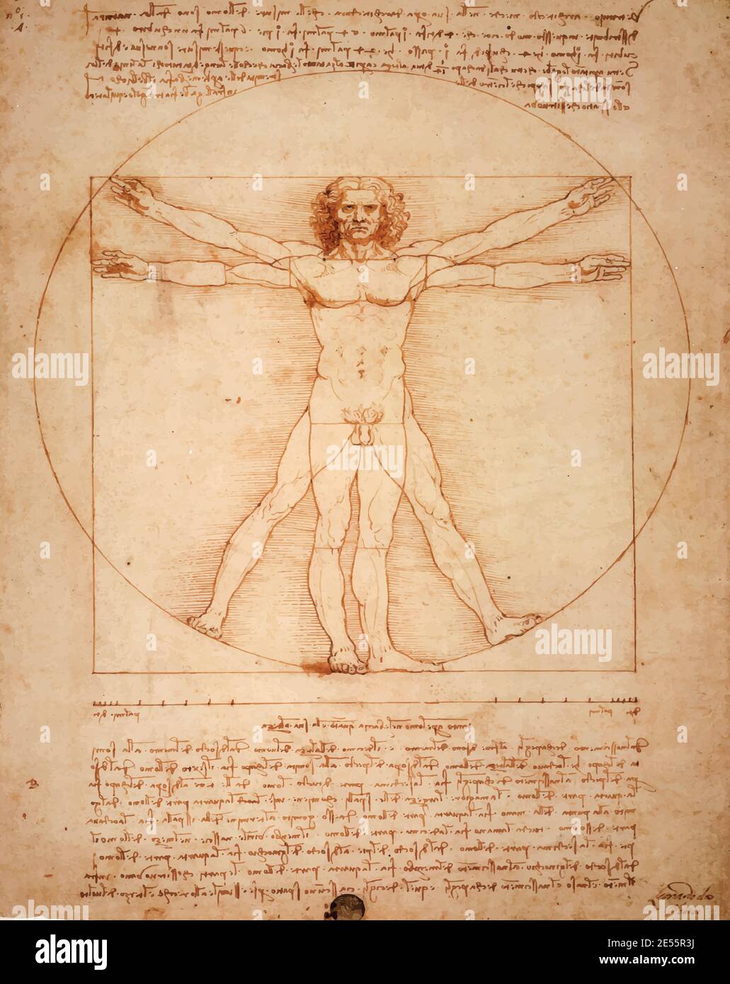 Leonardo DaVinci's Vitruvian Man, Uomo Vitruviano, illustrated in sepia colours Stock Photo