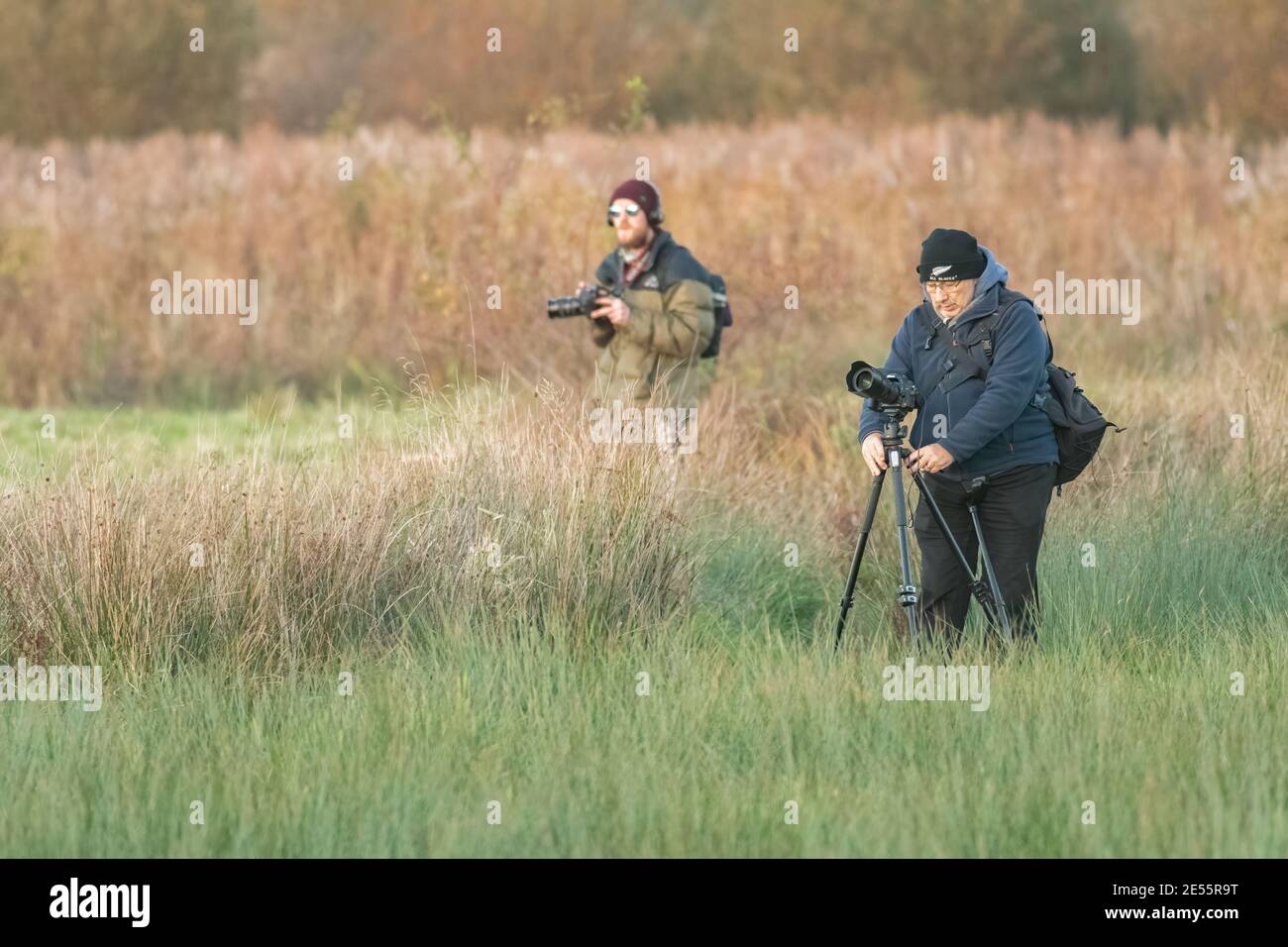 Two photographers standing in fields of long grass, with the closer man preparing a tripod. Stock Photo