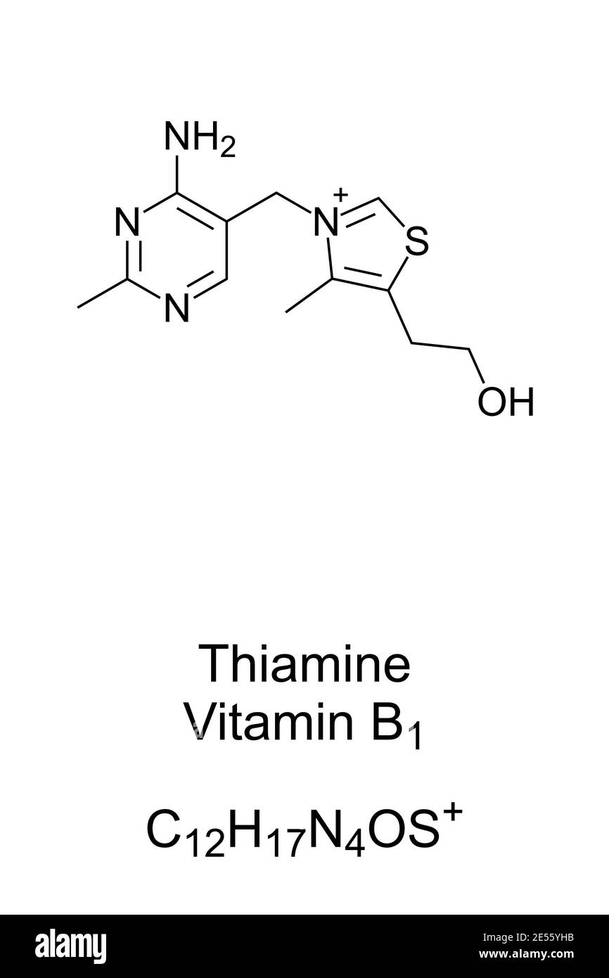 Thiamine, vitamin B1, chemical structure and skeletal formula of the cation. Found in food, manufactured as dietary supplement and medication. Stock Photo