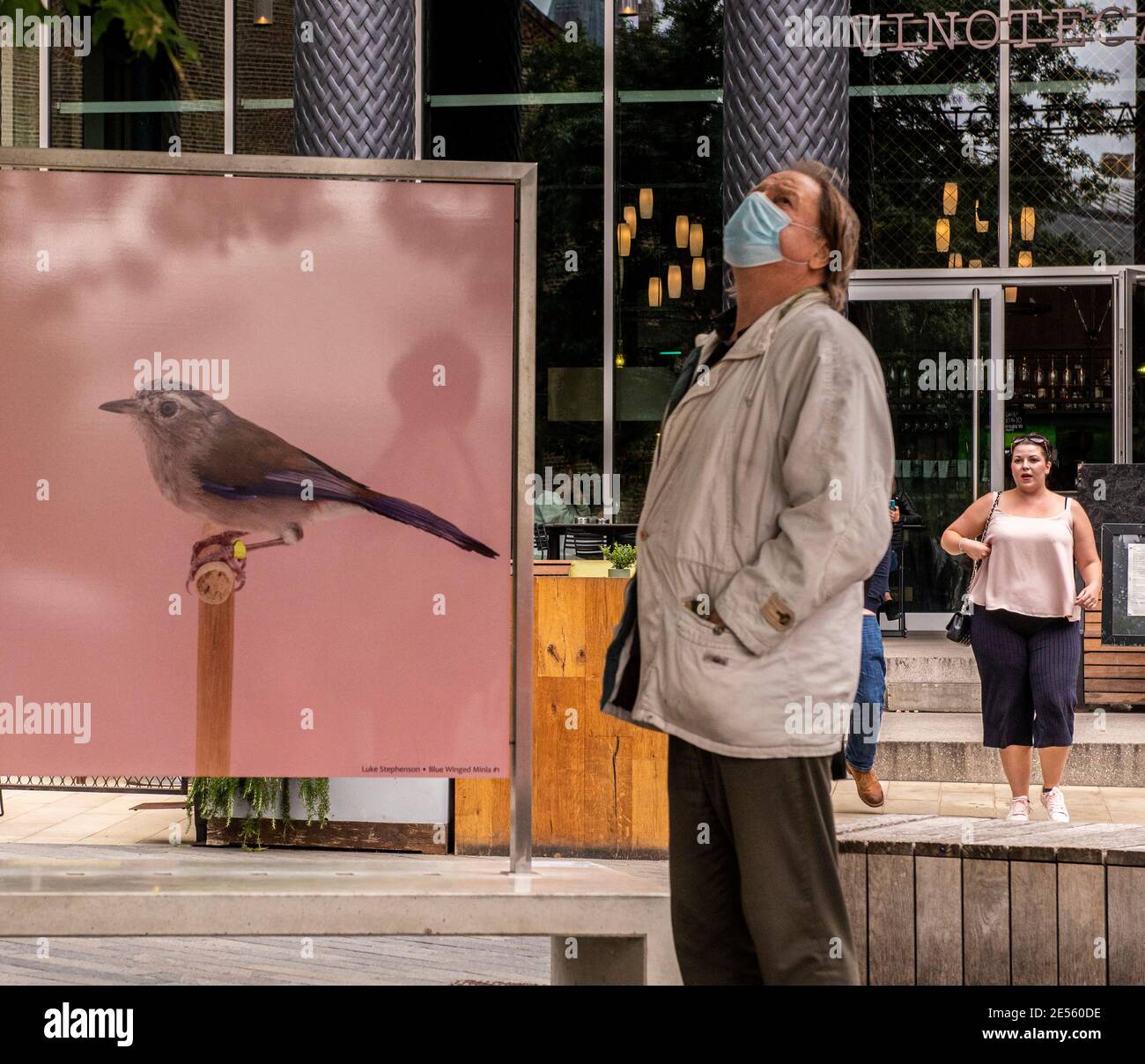 Mature man wearing face covering by picture of bird near Kings Cross. Stock Photo