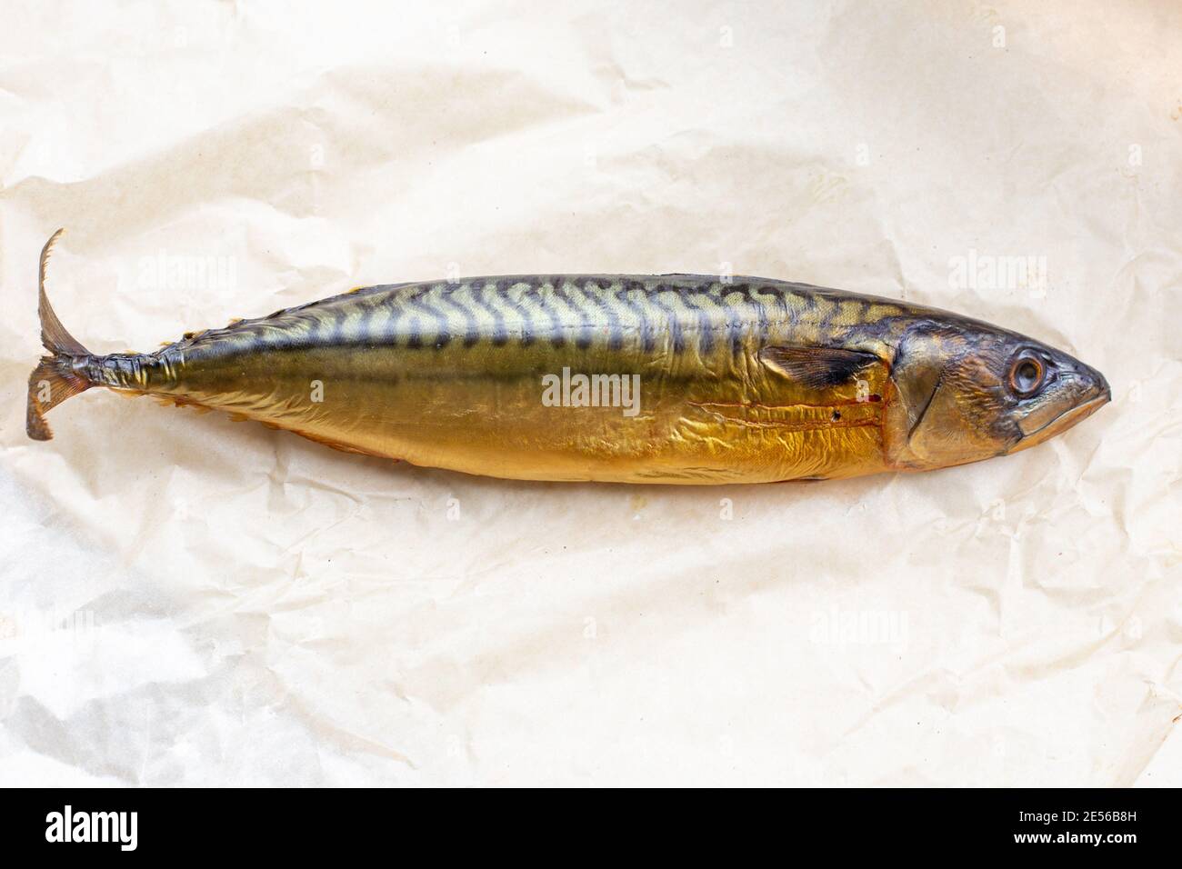 smoked mackerel fish lies on light paper, tasty fatty snack, copy space Stock Photo