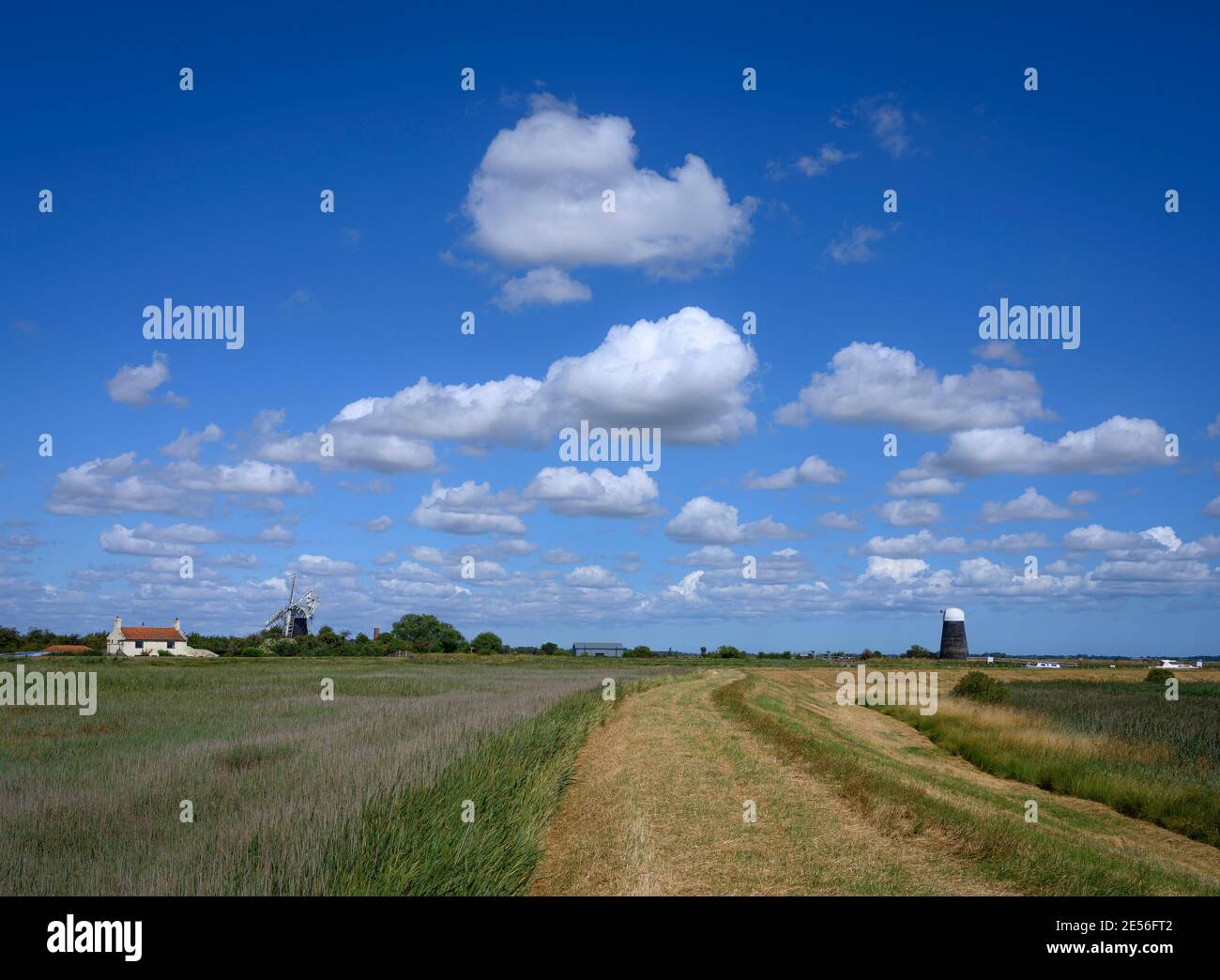 Walking a path near Polkey's mill on a summers day. Stock Photo