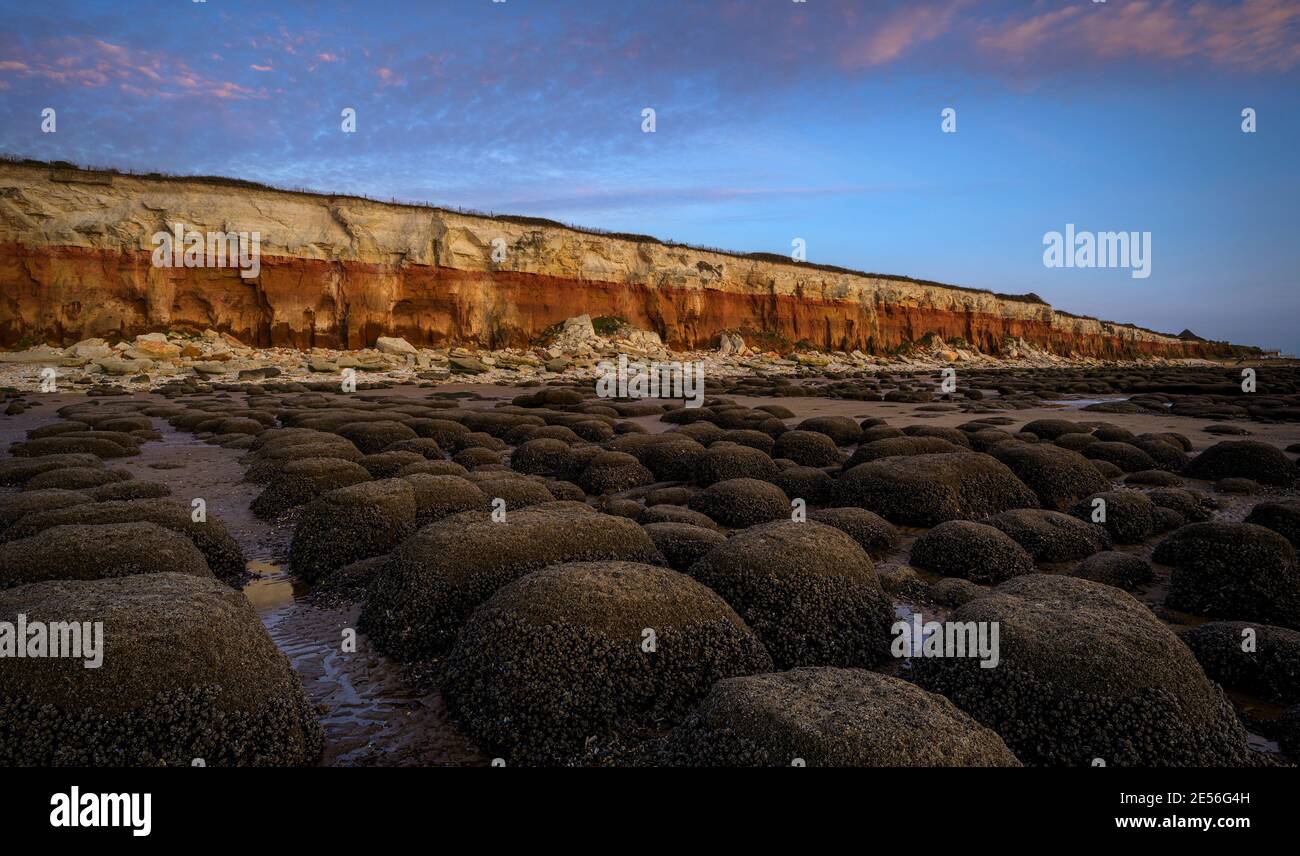 Barnacle encrusted bumps in front of the red and white striped cliffs of Hunstanton beach. Stock Photo