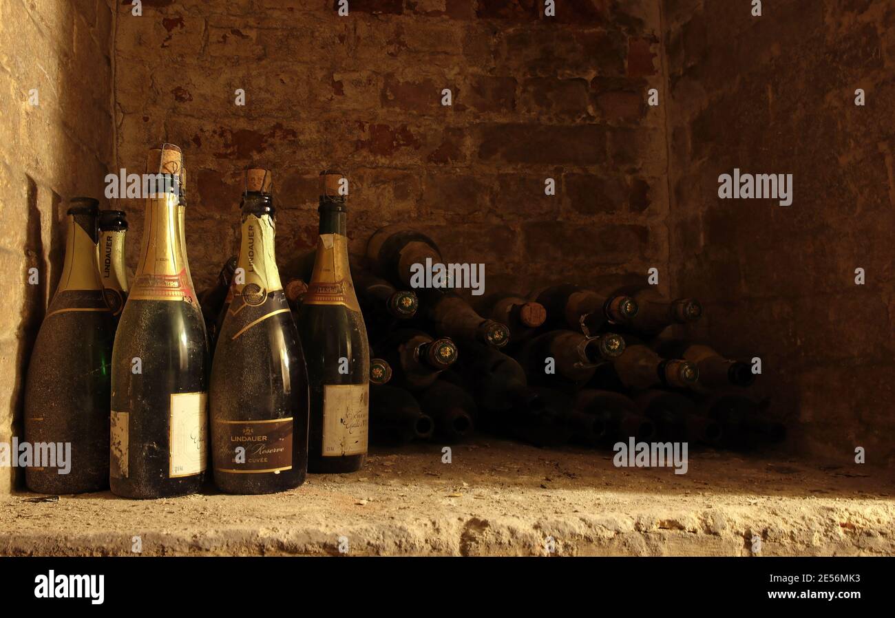 selection of old wine bottles in a cellar Stock Photo