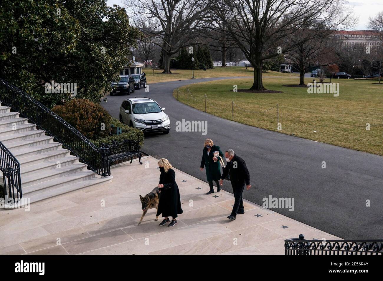 U.S First Lady Dr. Jill Biden, walks Champ Biden, a rescue dog on the South Lawn of the White House January 24, 2021 in Washington, D.C. The Bidens adopted the German shepherd in 2018 from the Delaware Humane Association. Stock Photo