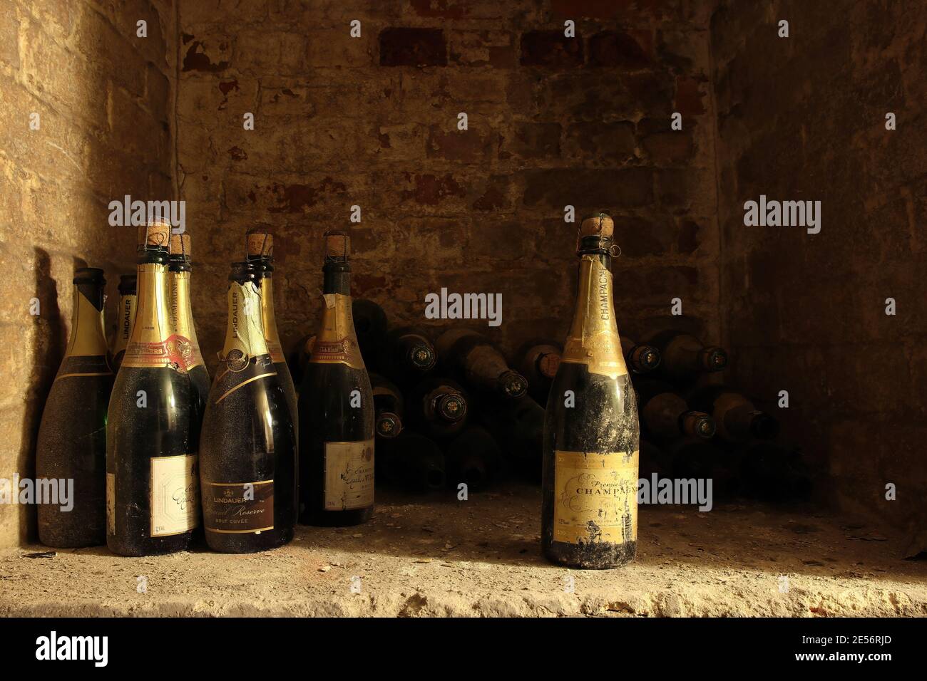 selection of old wine bottles in a cellar Stock Photo