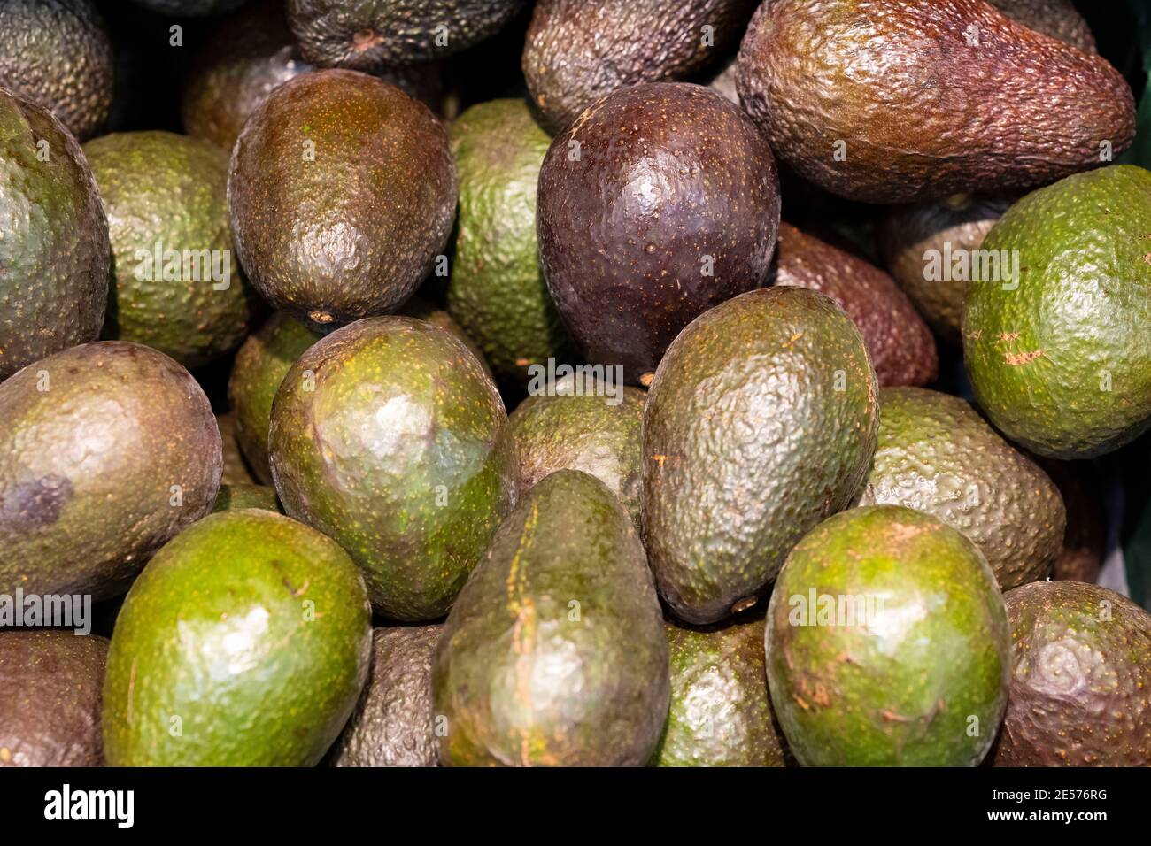 Avocados on sale in a supermarket Stock Photo Alamy