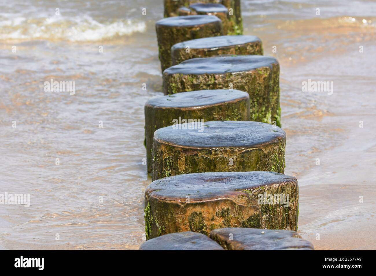 Sea stump hires stock photography and images Alamy