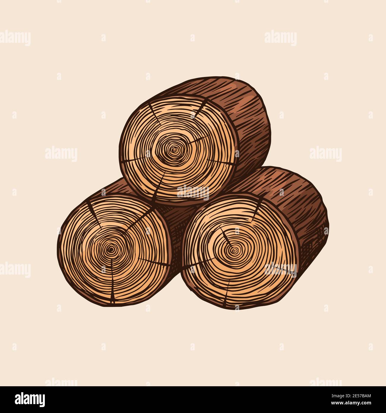 Wood or logs. Piece of Tree. Plank or lumber and Cut, Firewood in vintage  style. Vector illusion for signboard, labels, logo or banner. Campfire  Stock Vector Image & Art - Alamy