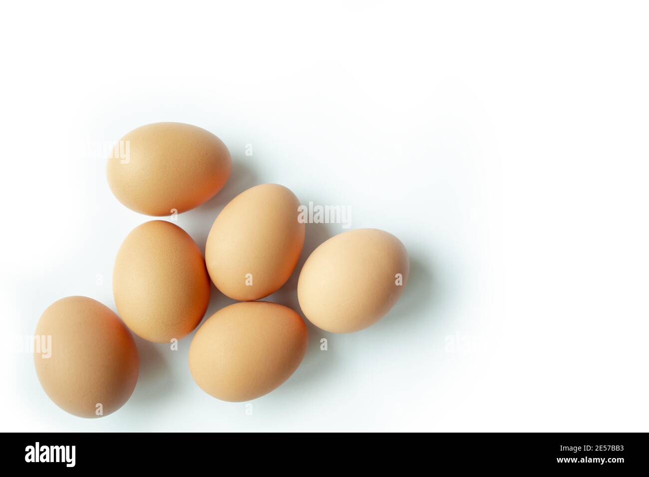 Brown Chicken Eggs on White Background. Copy space. Stock Photo