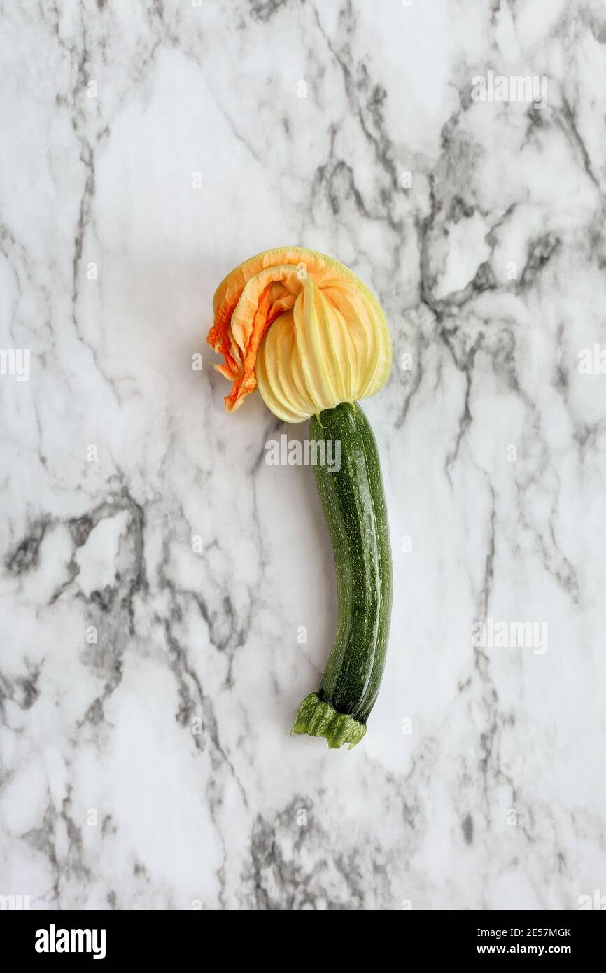 Single Courgette Baby courgette hi-res stock photography and images - Alamy