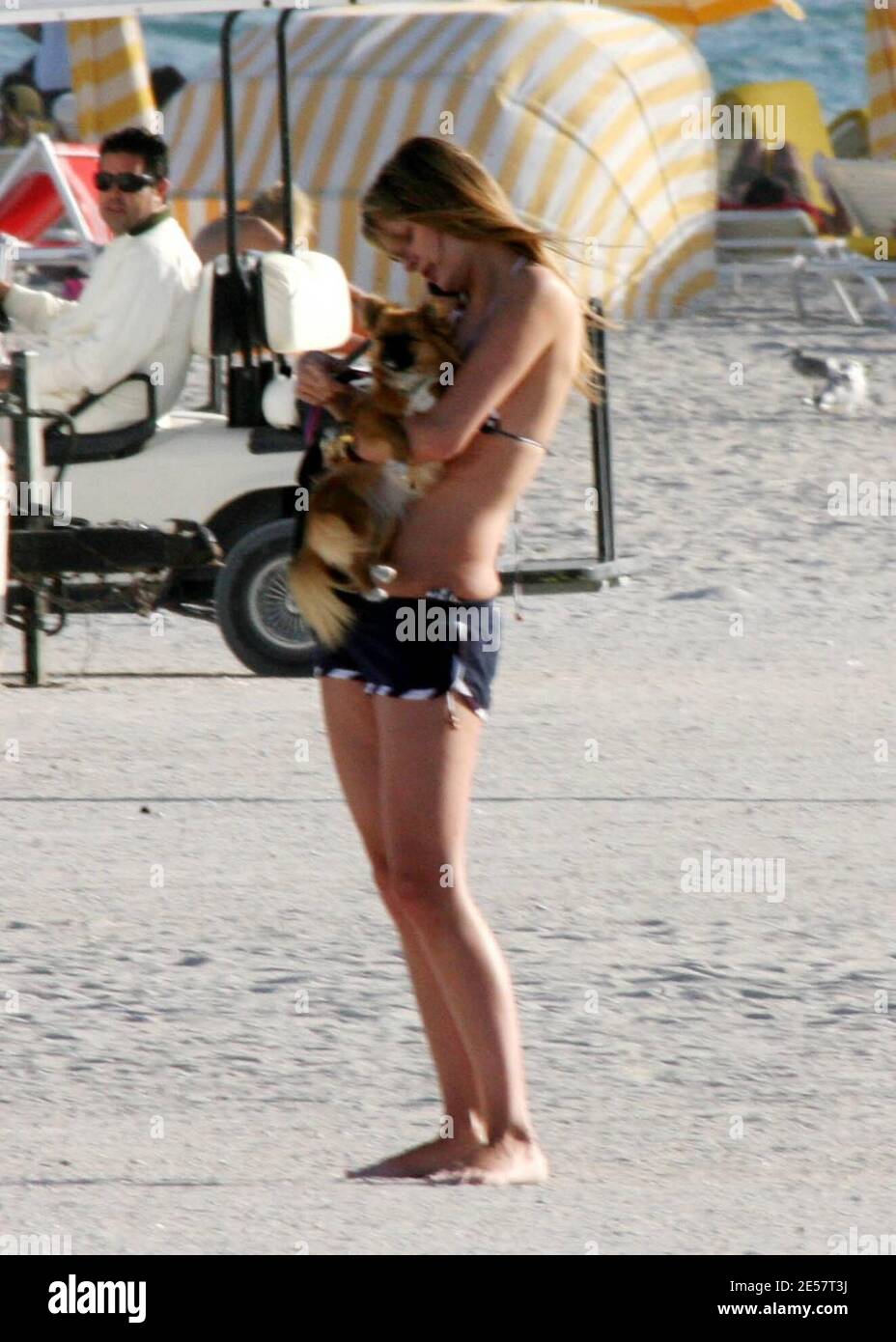 Exclusive!! UK superbabe Mischa Barton takes her dog Ziggy for a walk on Miami Beach. She was surprisingly unnoticed except for a few fans who asked her to pose for photos with them. 1/14/07    [[tag mab]] Stock Photo