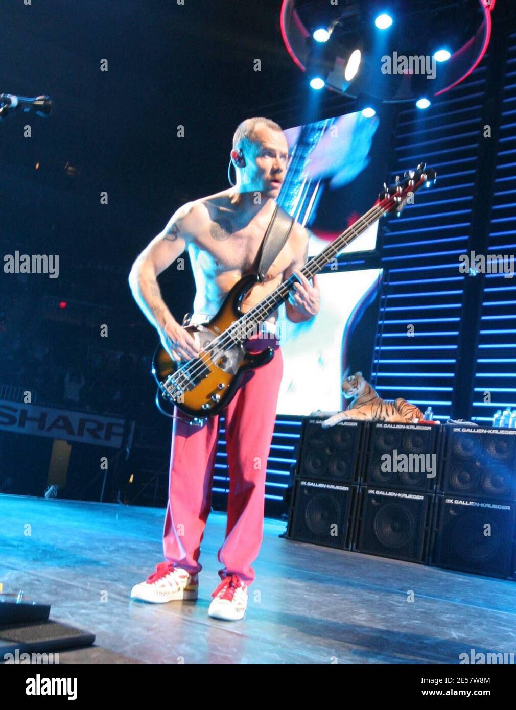 Red hot chili peppers bank atlantic hires stock photography and images