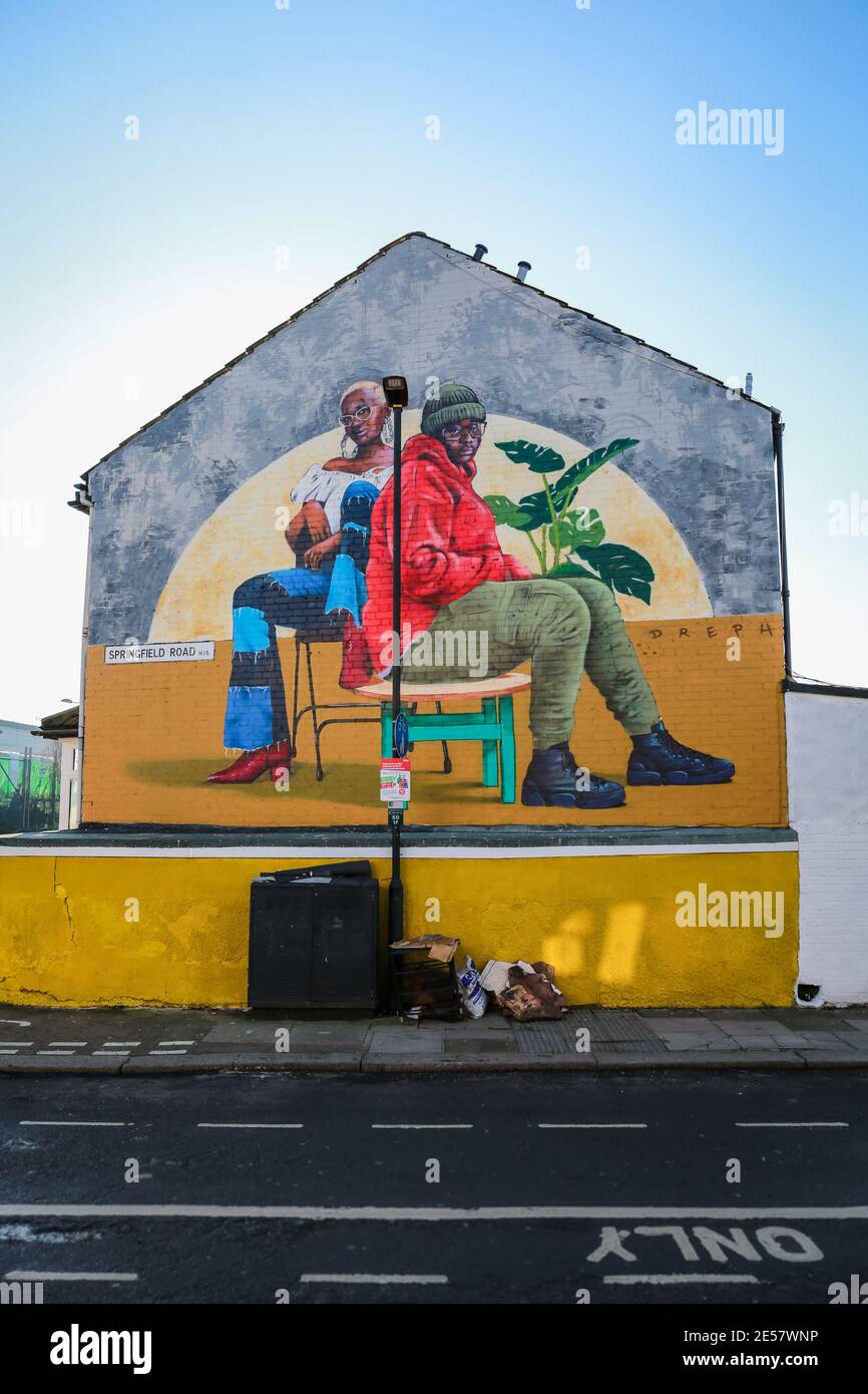 London, UK. 25 January 2021. Street Art London. Mural by Dreph in Tottenham Hale. Credit: Waldemar Sikora Stock Photo