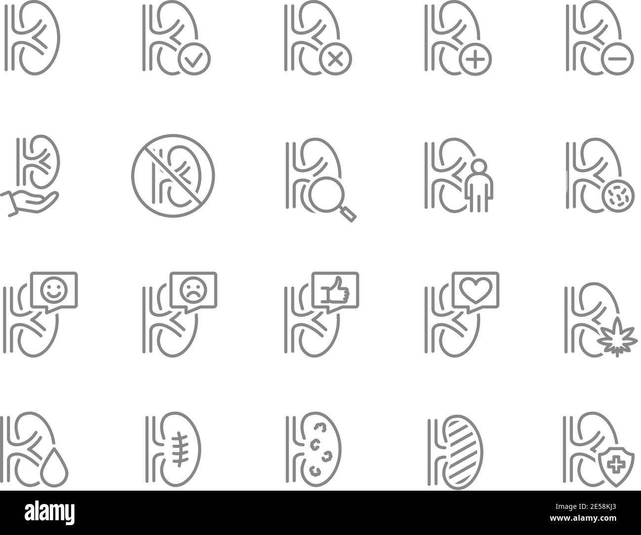 Set of human kidneys line icon. Healthy internal organ, organ