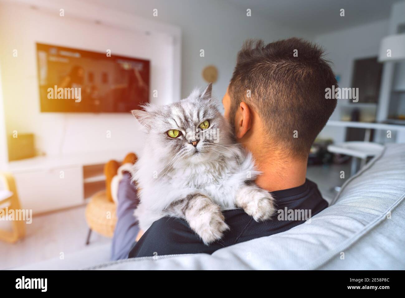 Young man sitting on the couch watching TV and resting with his lovely cat on his shoulder in the living room. Domestic life with pet at home. Stock Photo