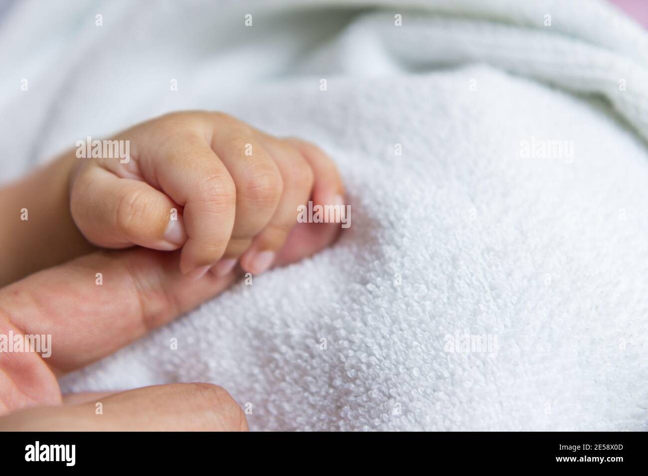 Newborn baby's hand wrapped Stock Photo Alamy