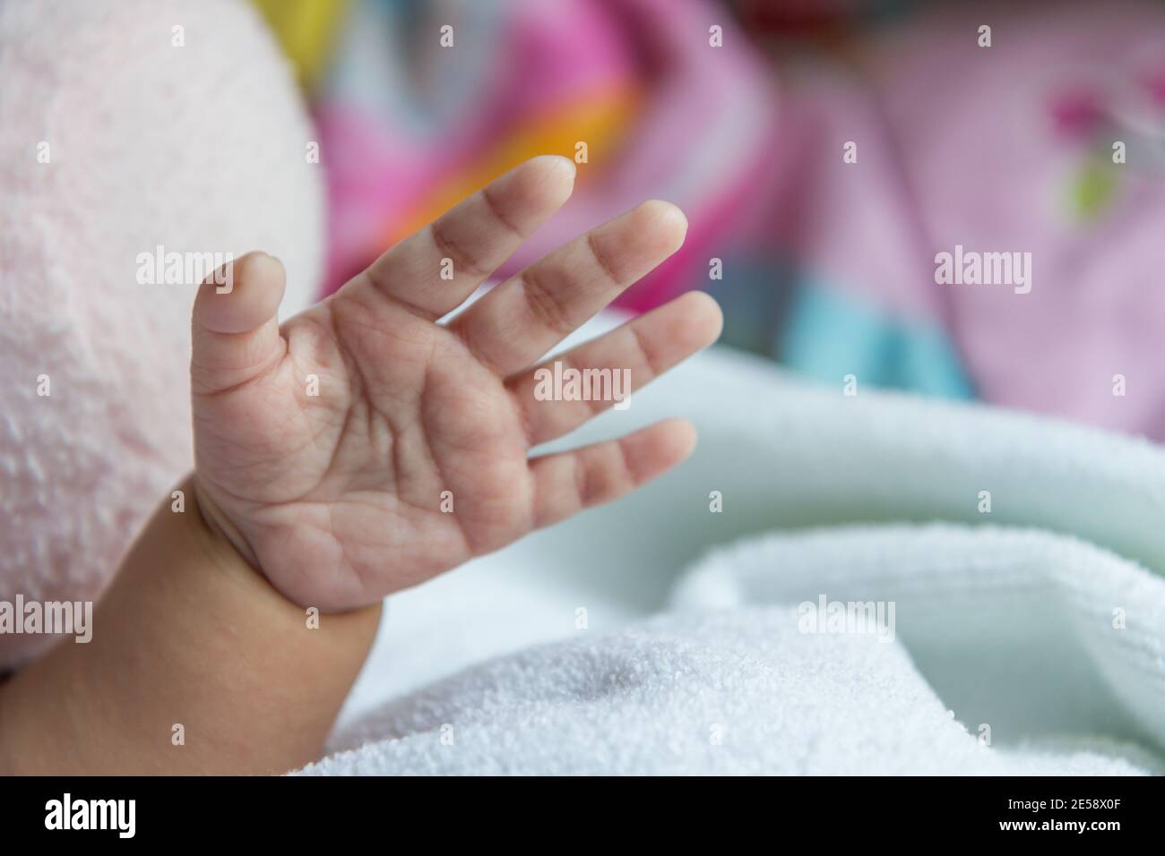 Newborn baby's hand wrapped Stock Photo Alamy