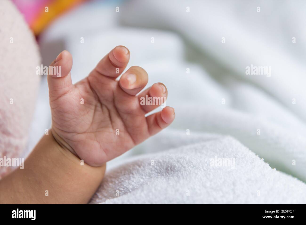 Newborn baby's hand wrapped Stock Photo Alamy