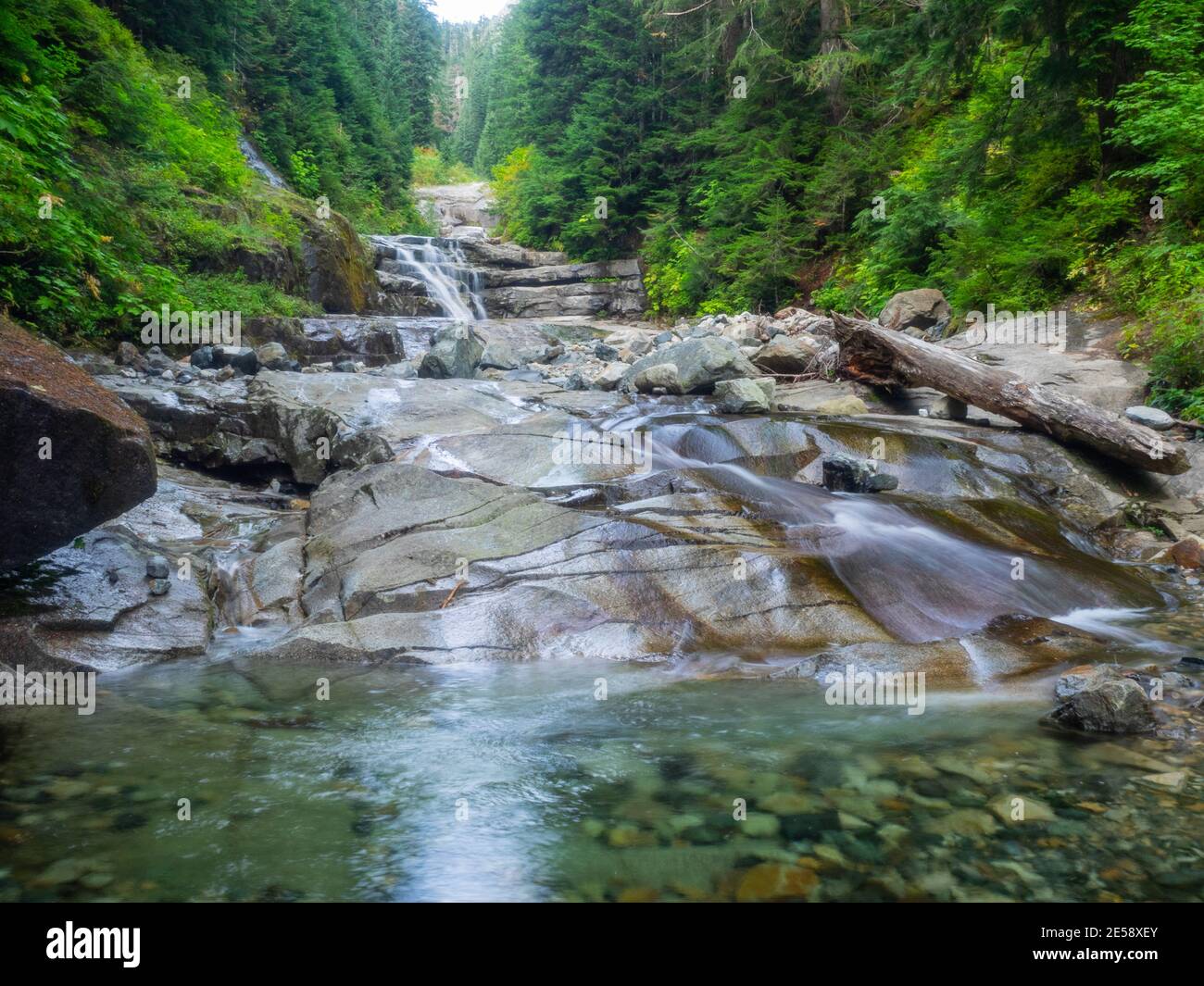 The Denny Creek Trail is extremely popular and for good reason!. A natural  waterslide, two good sized waterfalls, lots of old growth forest mixed in w  Stock Photo - Alamy