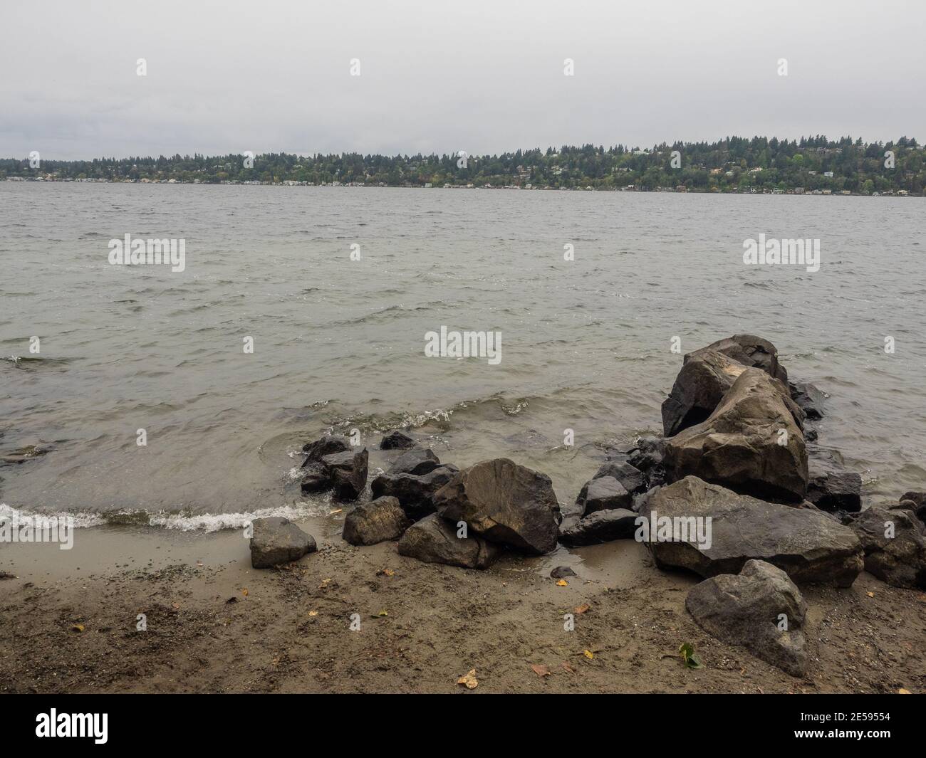 Saint Edward State Park is a 316-acre (128 ha)-park in Kenmore, Washington and Kirkland, Washington. Stock Photo