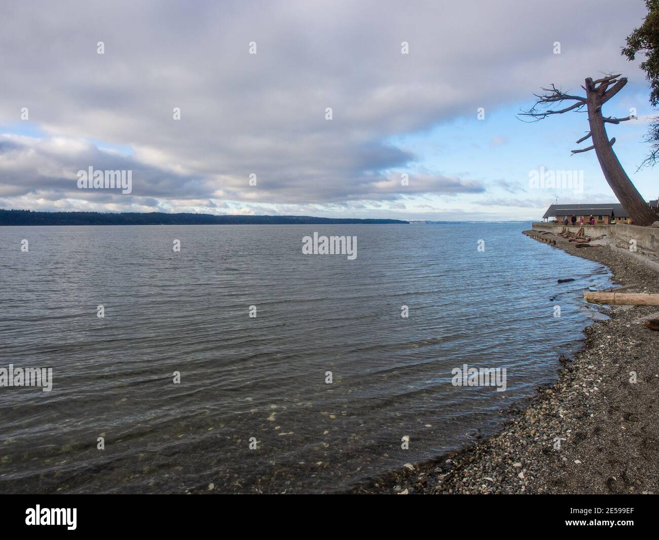 Ocean smell hi-res stock photography and images - Page 16 - Alamy