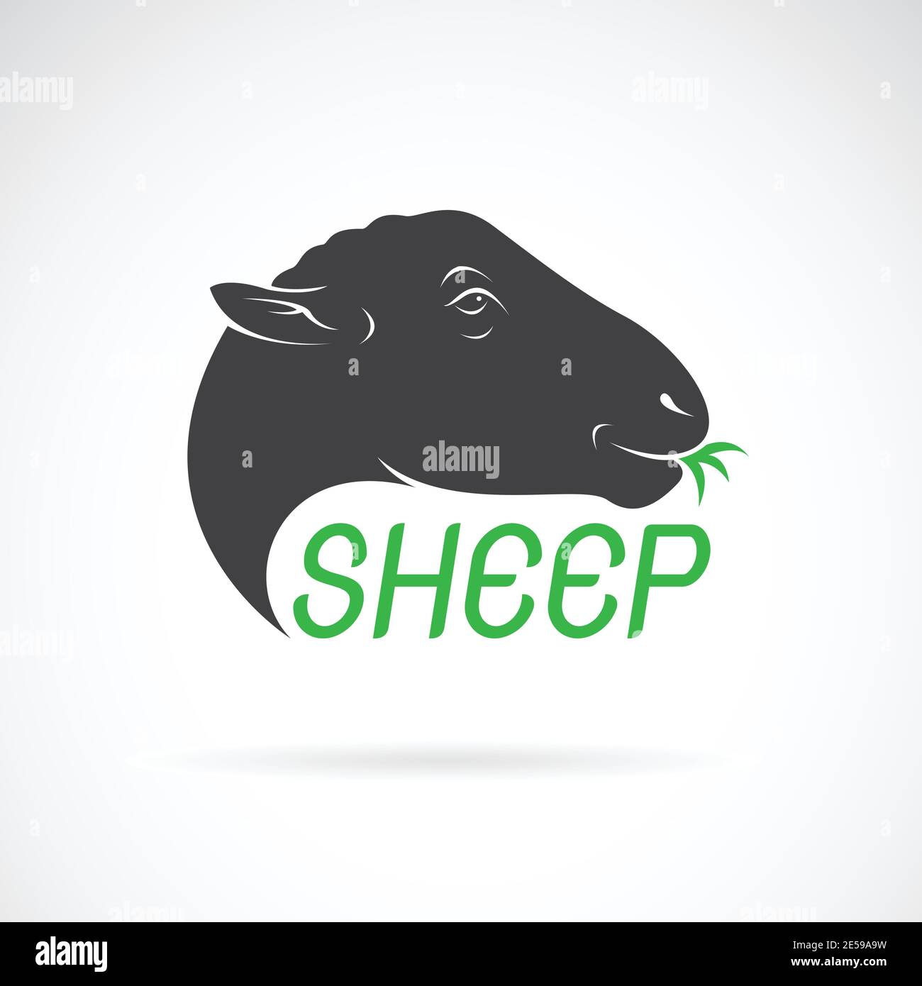Vector of sheep head design on white background. Wild Animals. Easy