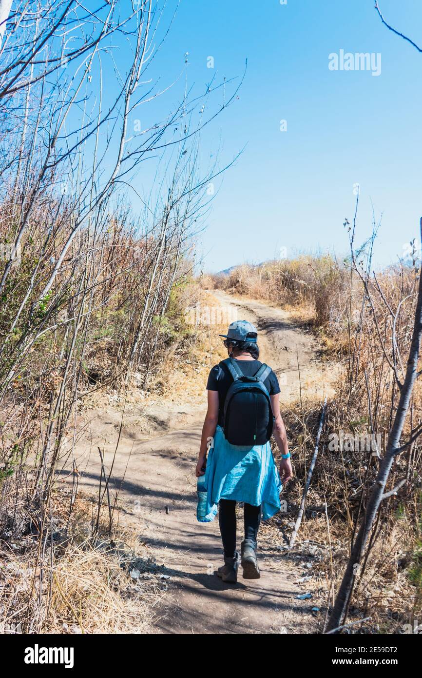 Hiking in the forest Stock Photo - Alamy