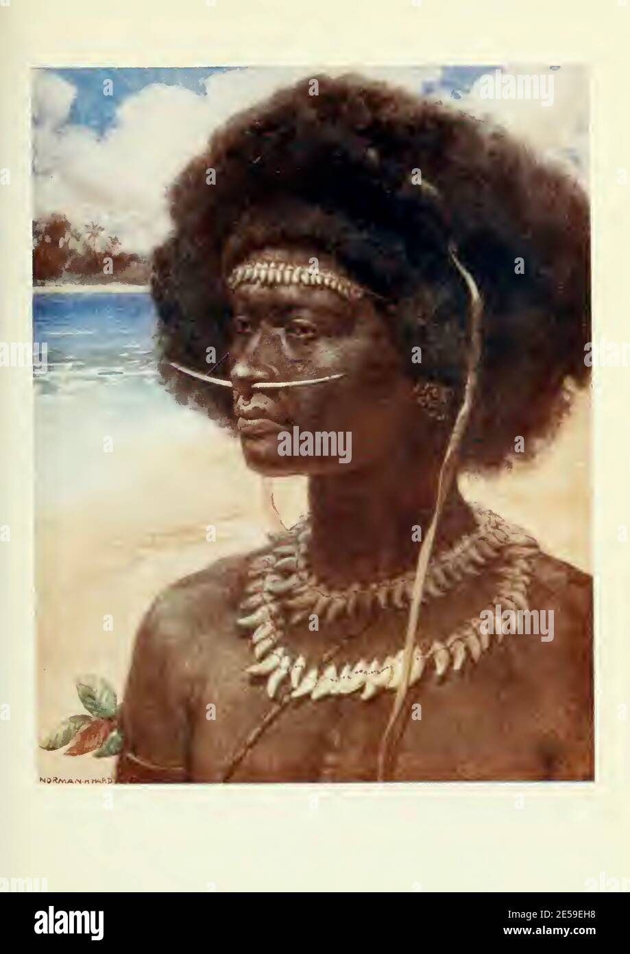 Norman Hardy painting entitled New Guinea Dandy. Stock Photo