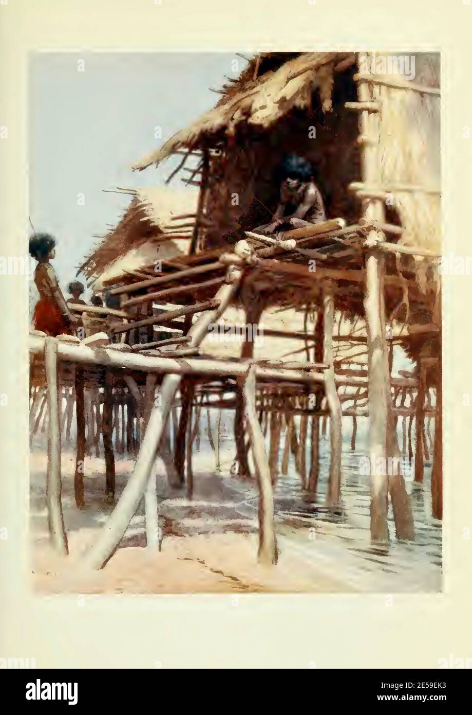 Traditional pile dwelling house on New Guinea by Norman Hardy Stock