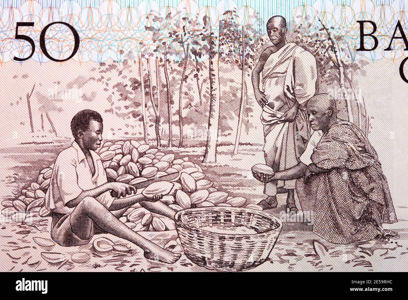 Cocoa farmers ghana hires stock photography and images Alamy