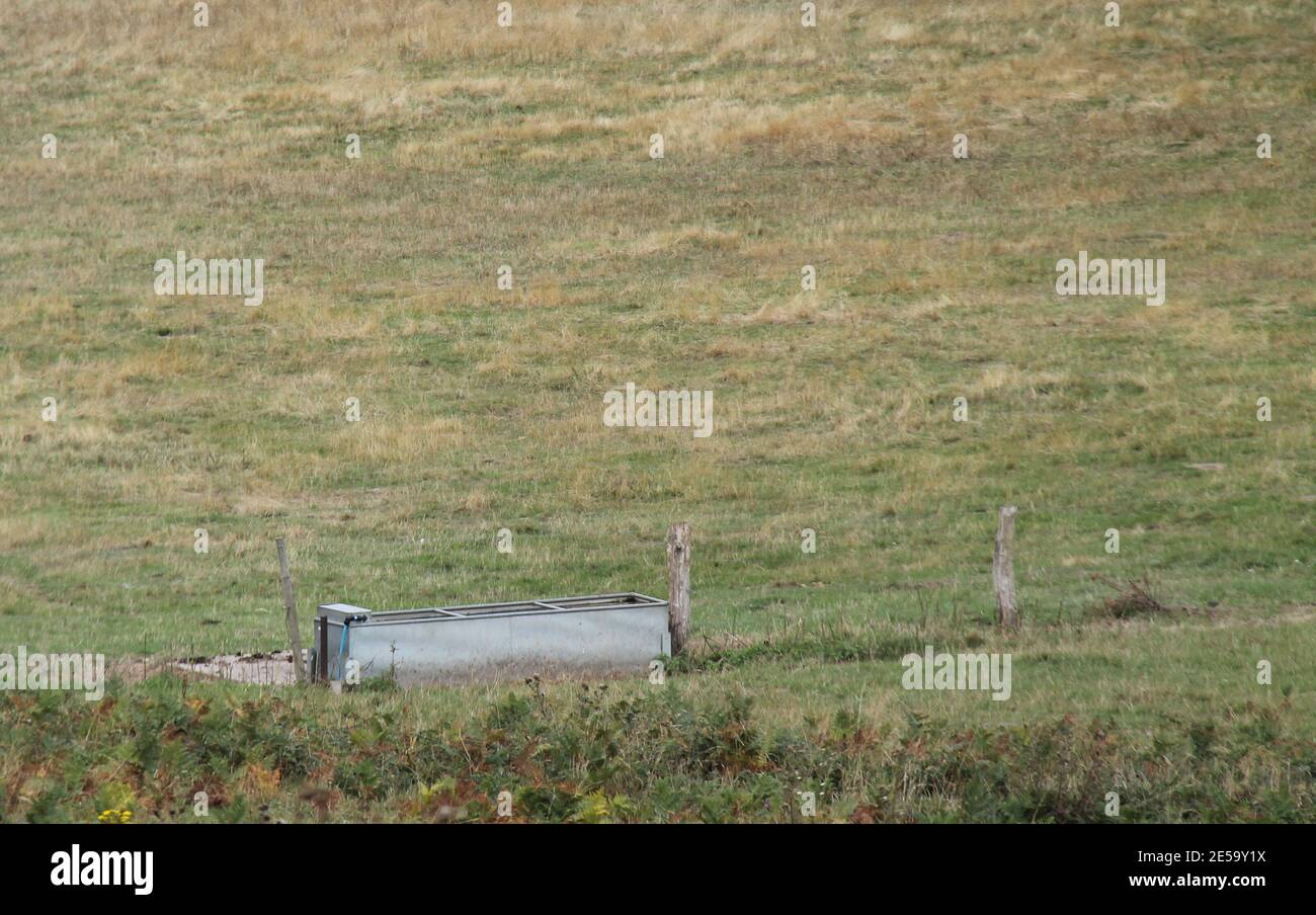 An Agricultural Metal Animal Water Trough in a Field Stock Photo Alamy